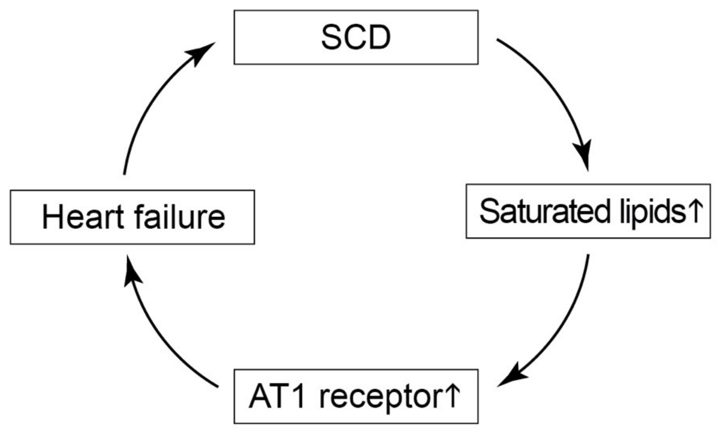 Ijms 22 09883 g014 Ijms 22 09883 g014