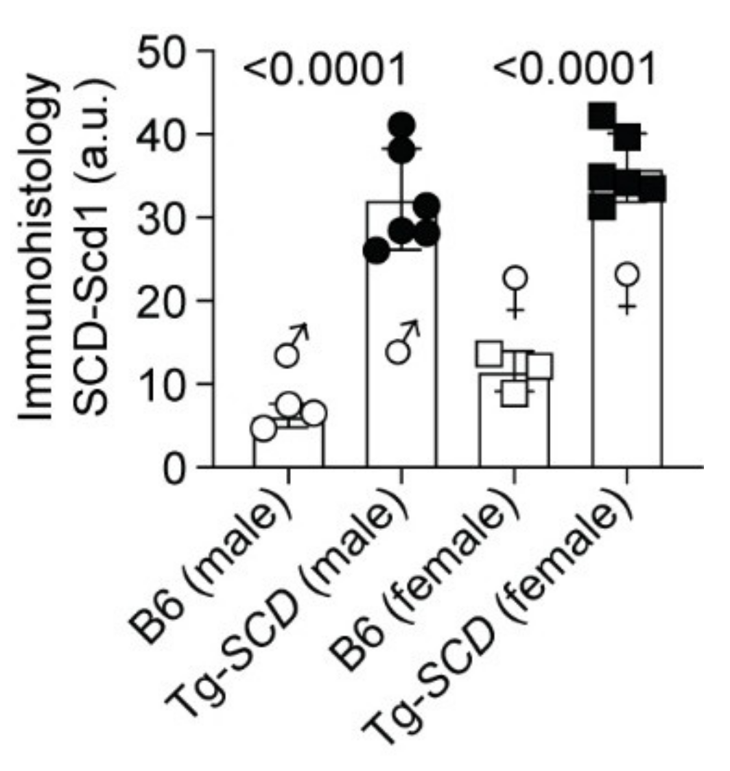 Ijms 22 09883 g0a2 Ijms 22 09883 g0a2