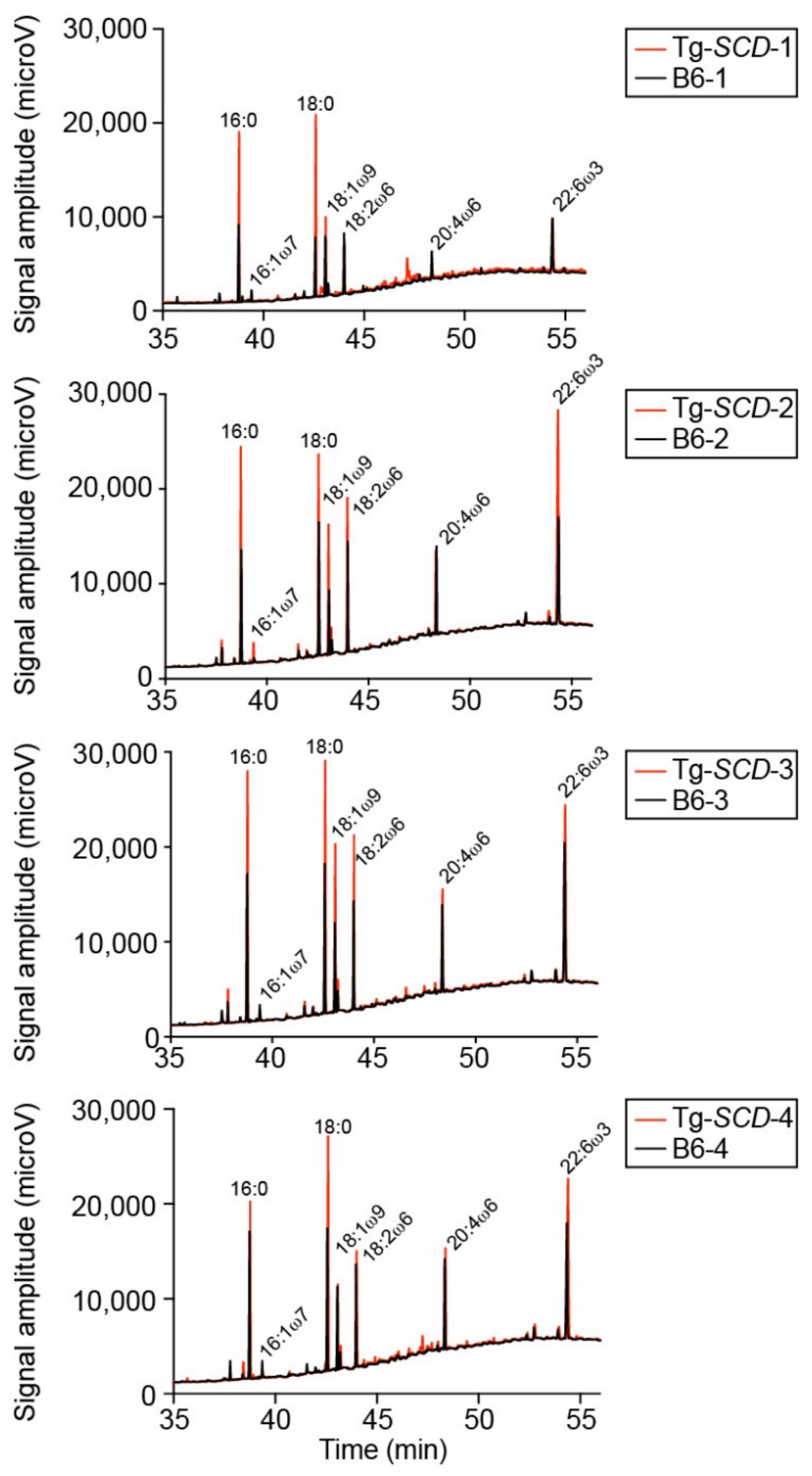 Ijms 22 09883 g0a4 Ijms 22 09883 g0a4