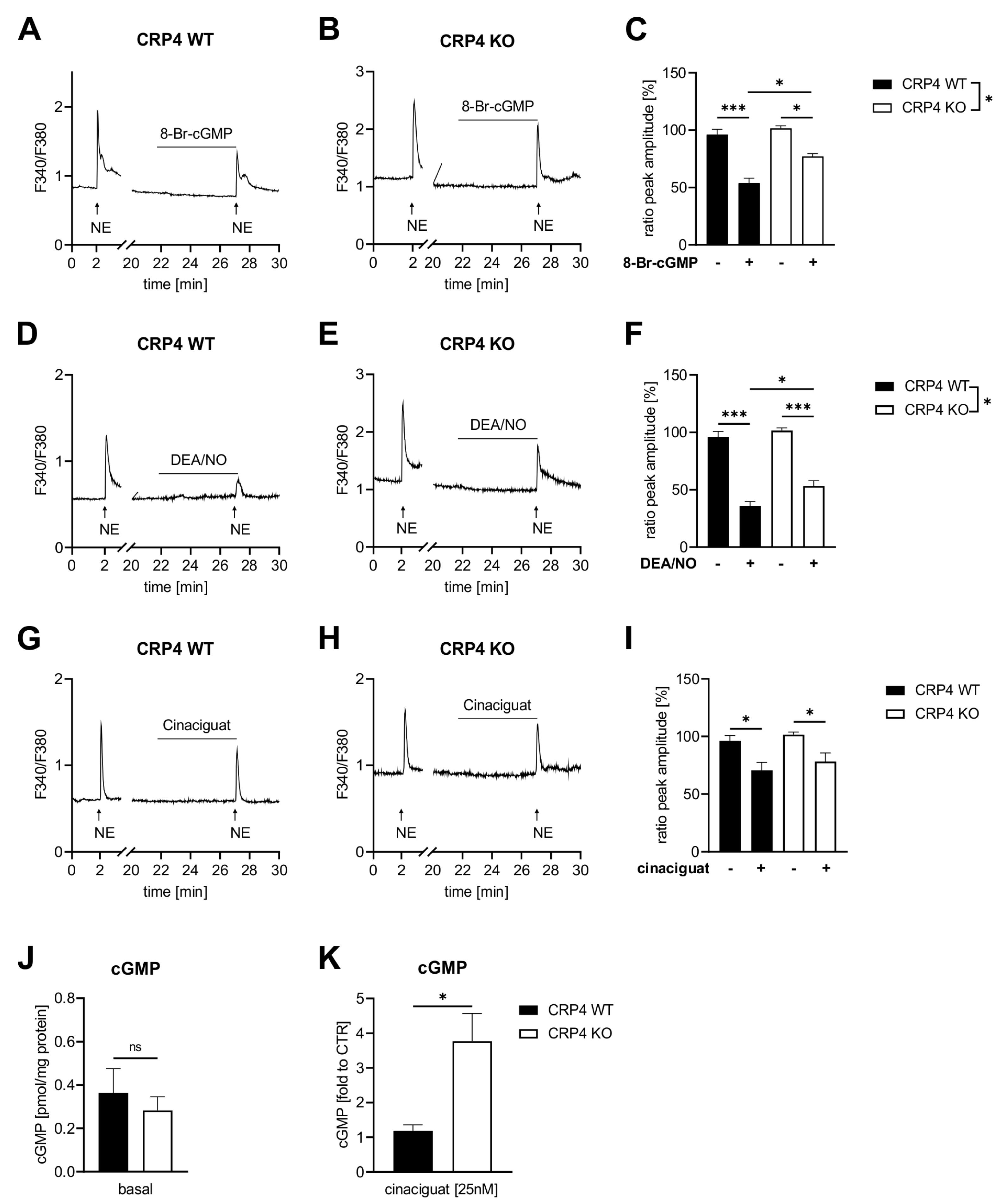 Ijms 22 09925 g002 Ijms 22 09925 g002