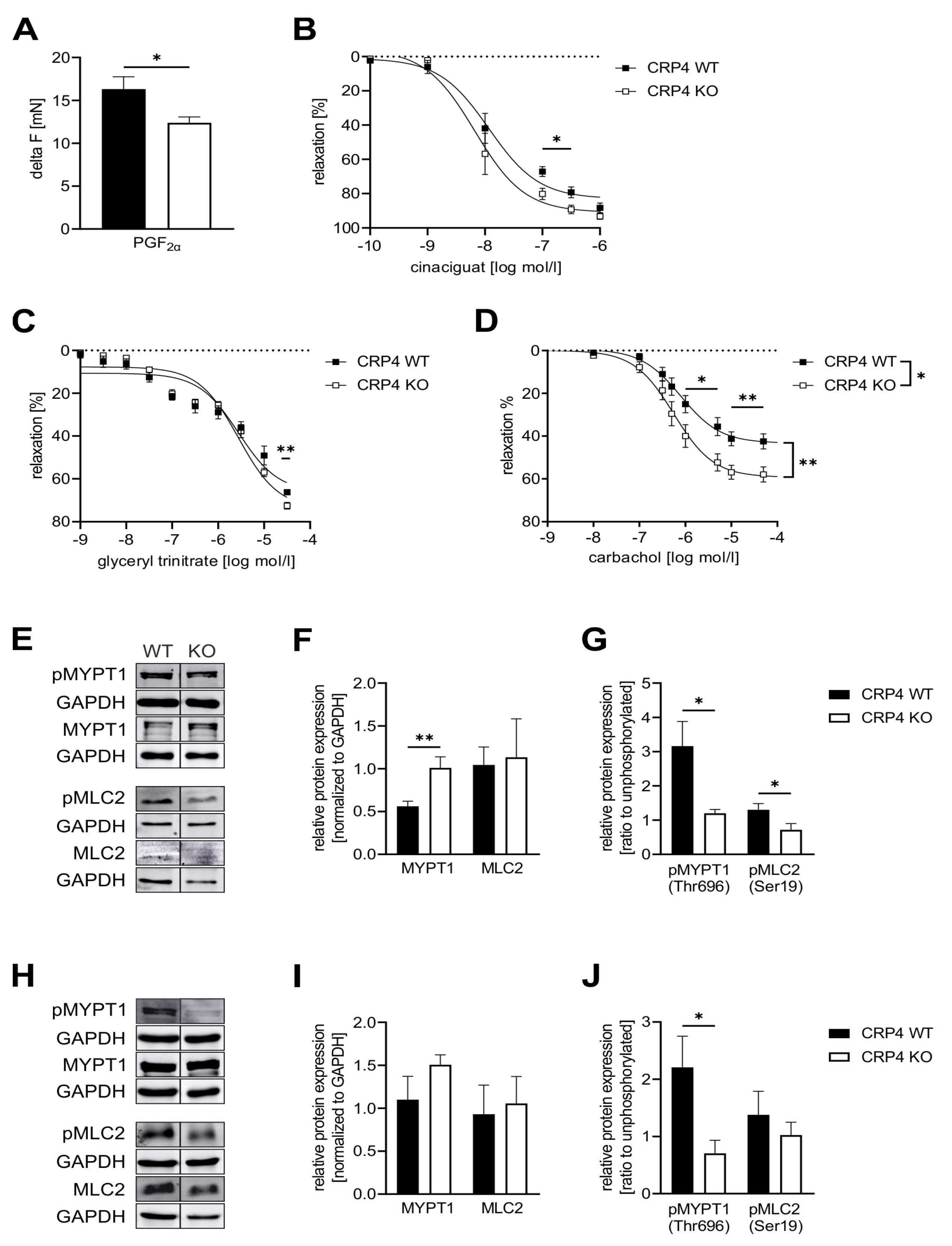 Ijms 22 09925 g003 Ijms 22 09925 g003
