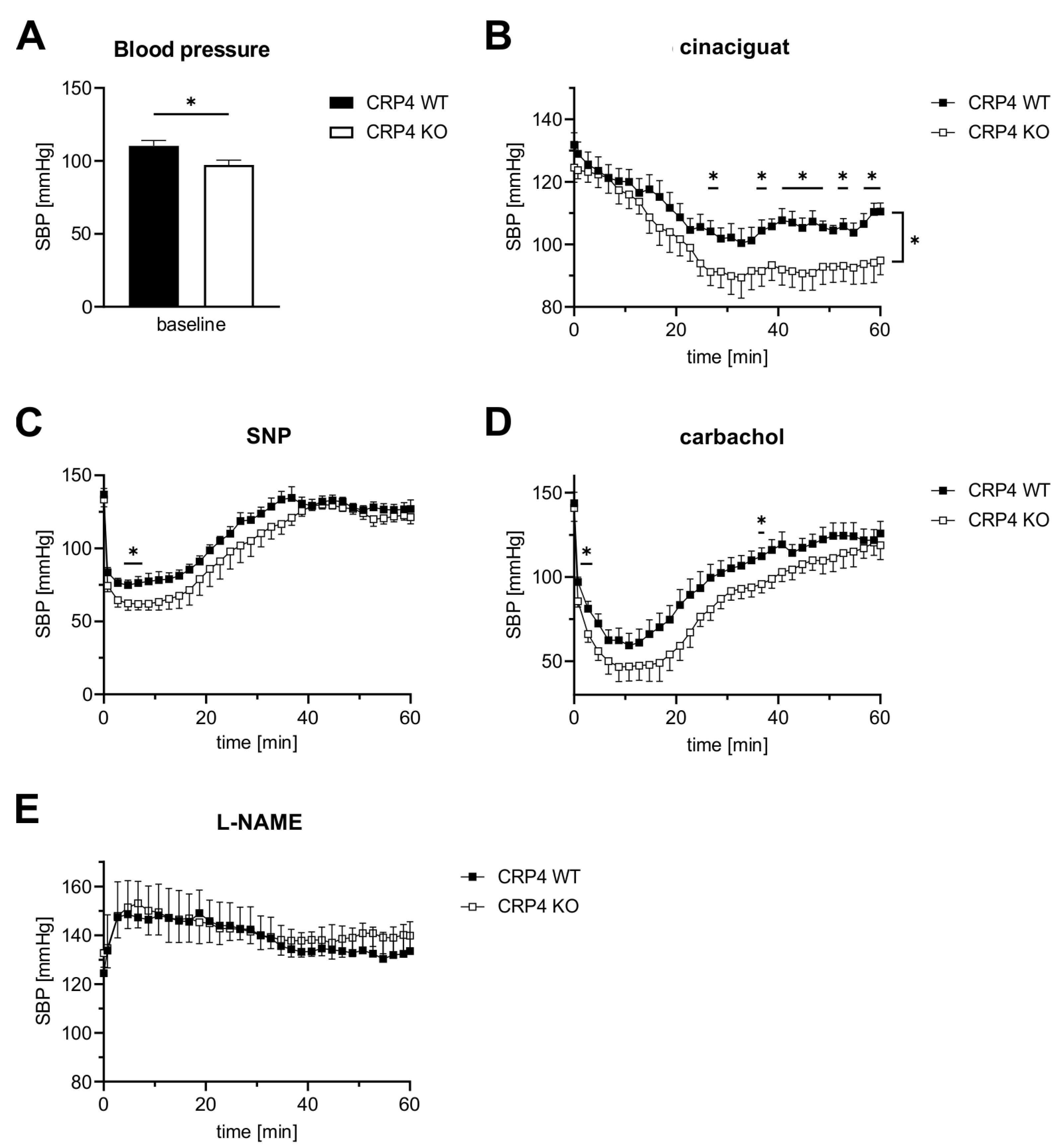 Ijms 22 09925 g004 Ijms 22 09925 g004