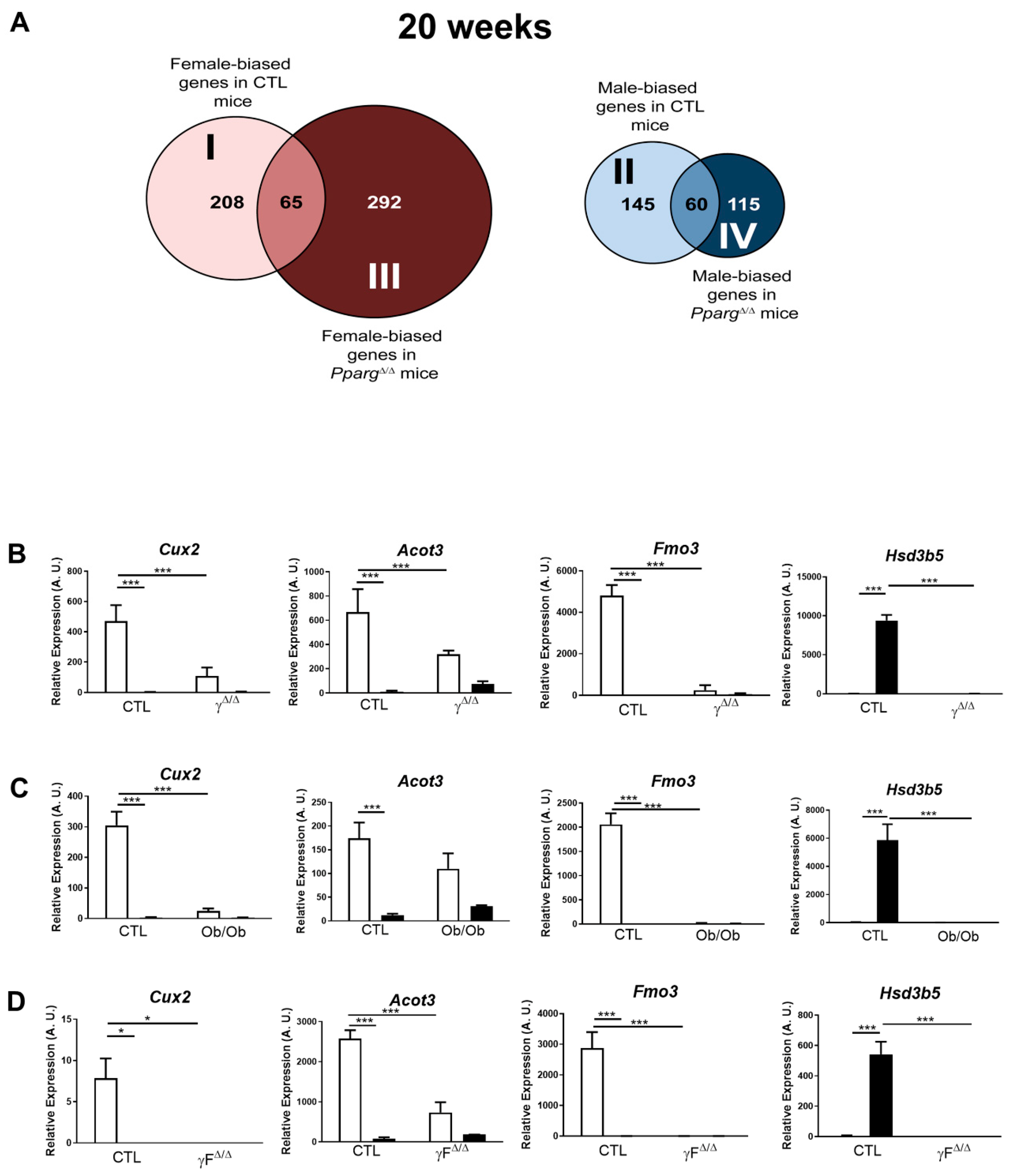 Ijms Free Full Text Sex Dimorphism Of Nonalcoholic Fatty Liver