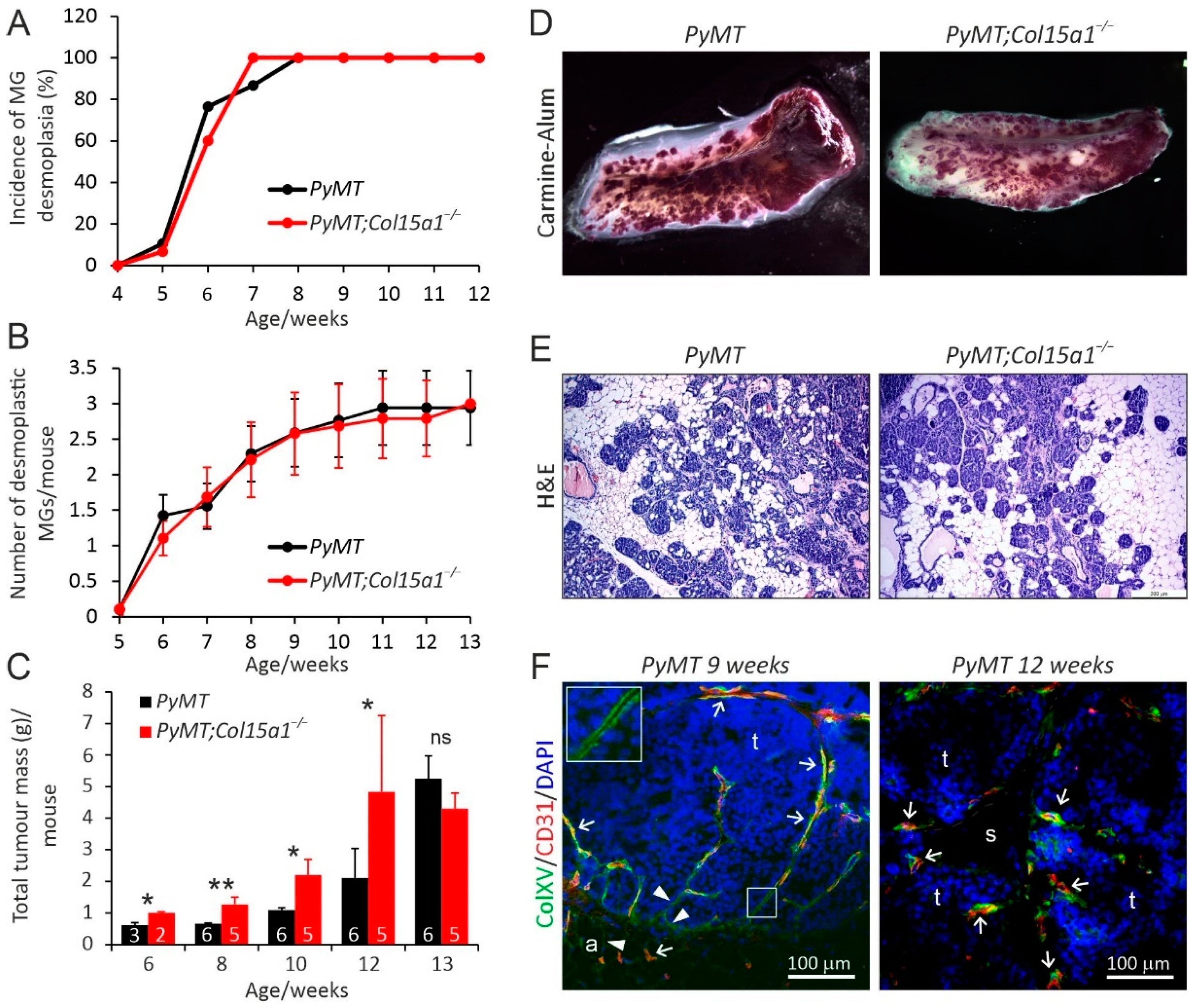 Ijms 22 09978 g001 Ijms 22 09978 g001