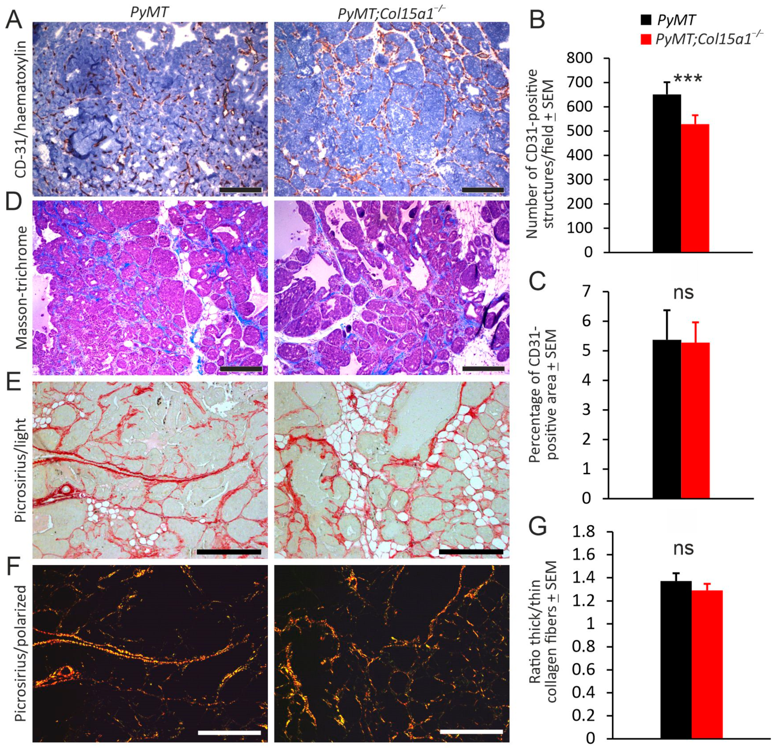 Ijms 22 09978 g002 Ijms 22 09978 g002