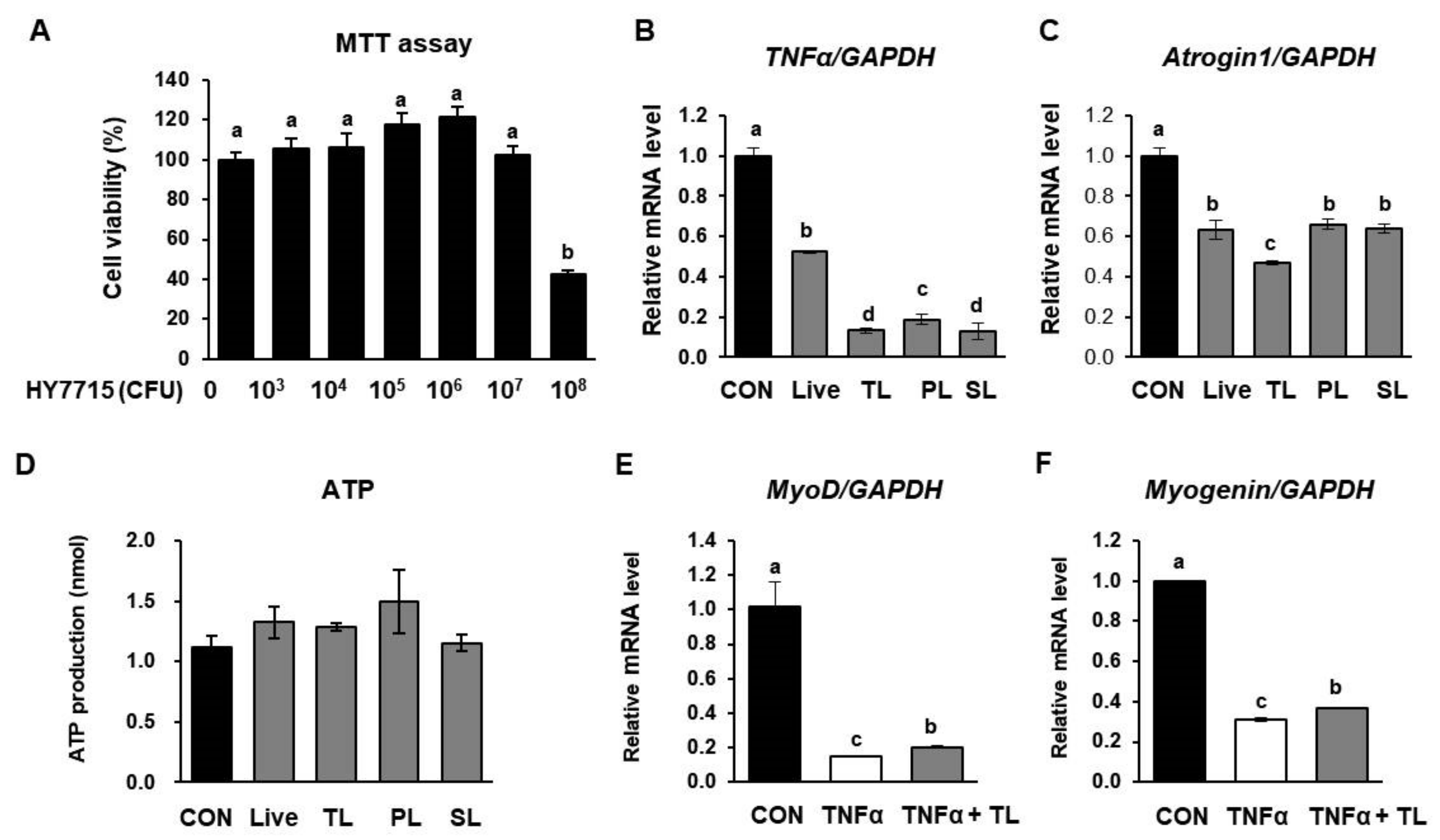 Ijms 22 10023 g008 Ijms 22 10023 g008