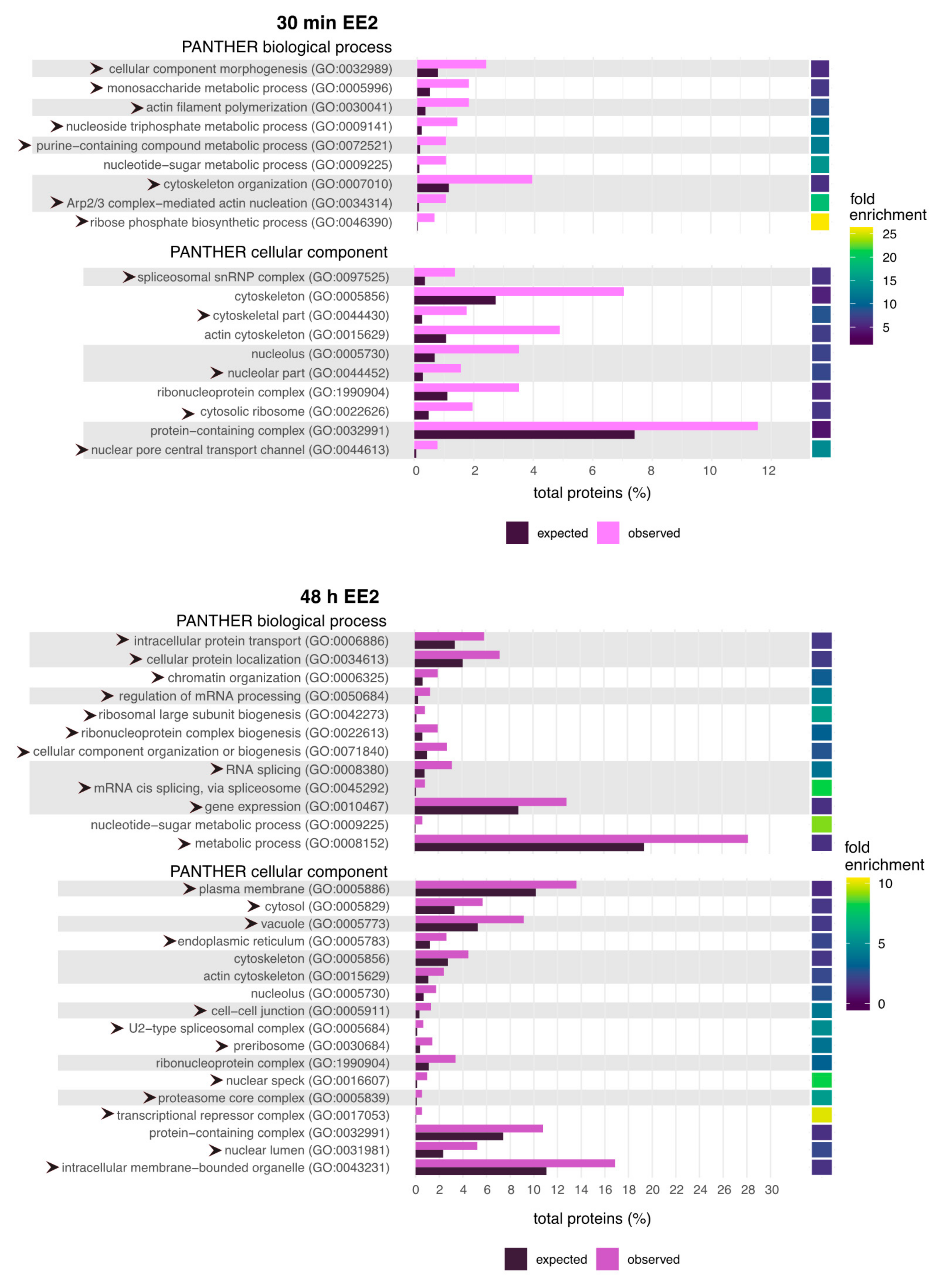 Ijms 22 10046 g004 Ijms 22 10046 g004