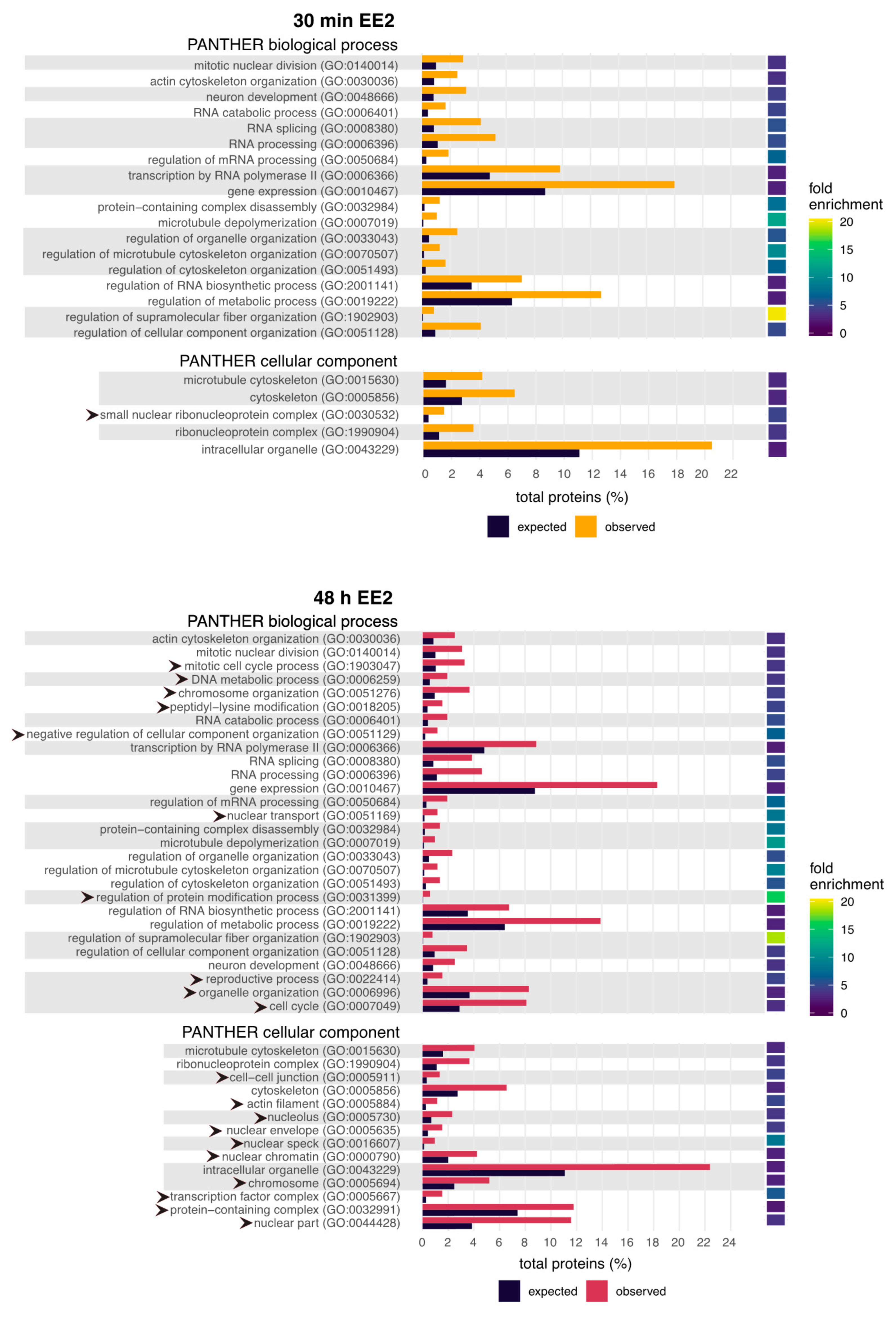 Ijms 22 10046 g005 Ijms 22 10046 g005