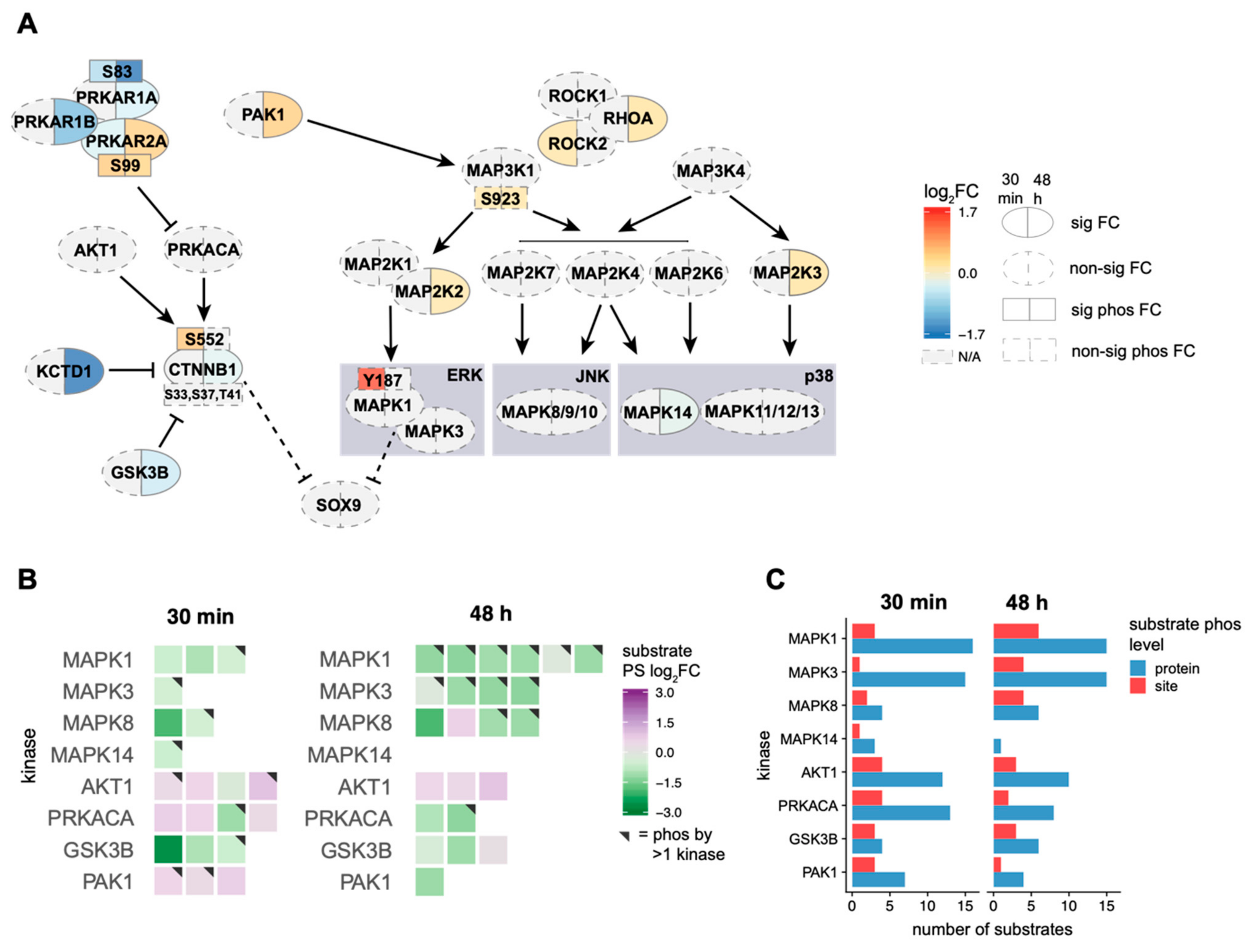 Ijms 22 10046 g006 Ijms 22 10046 g006