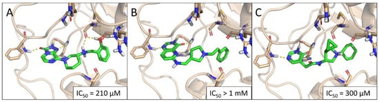 IJMS | Free Full-Text | Discovery of a Non-Nucleoside SETD2