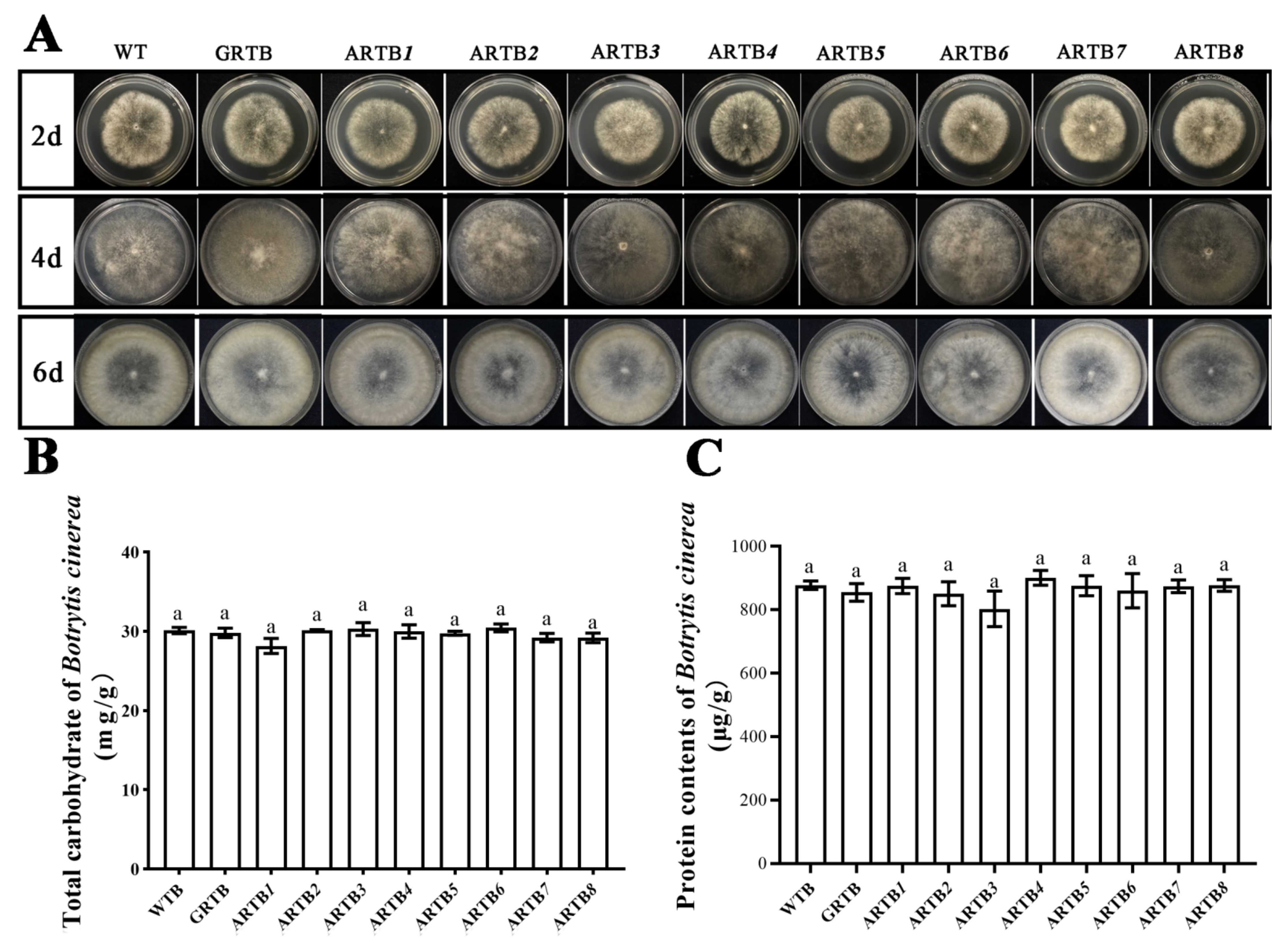 Ijms Free Full Text Novel Functions Of The Fatty Acid And Retinol Binding Protein Far Gene Family Revealed By Fungus Mediated Rnai In The Parasitic Nematode Aphelenchoides Besseyi Html