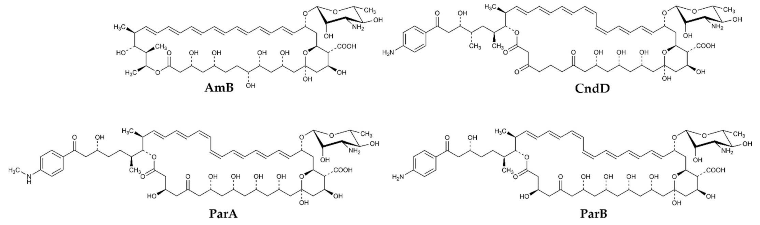 Ijms 22 10108 g001 Ijms 22 10108 g001