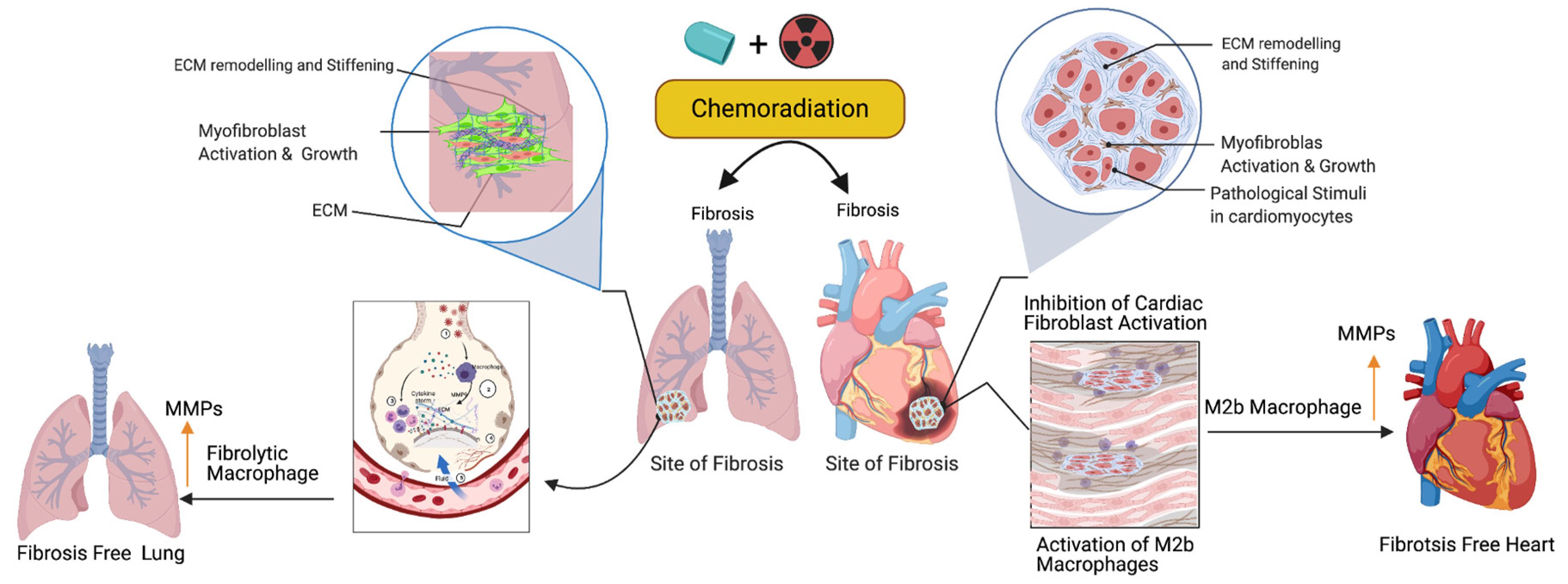 Ijms 22 10126 g003 Ijms 22 10126 g003
