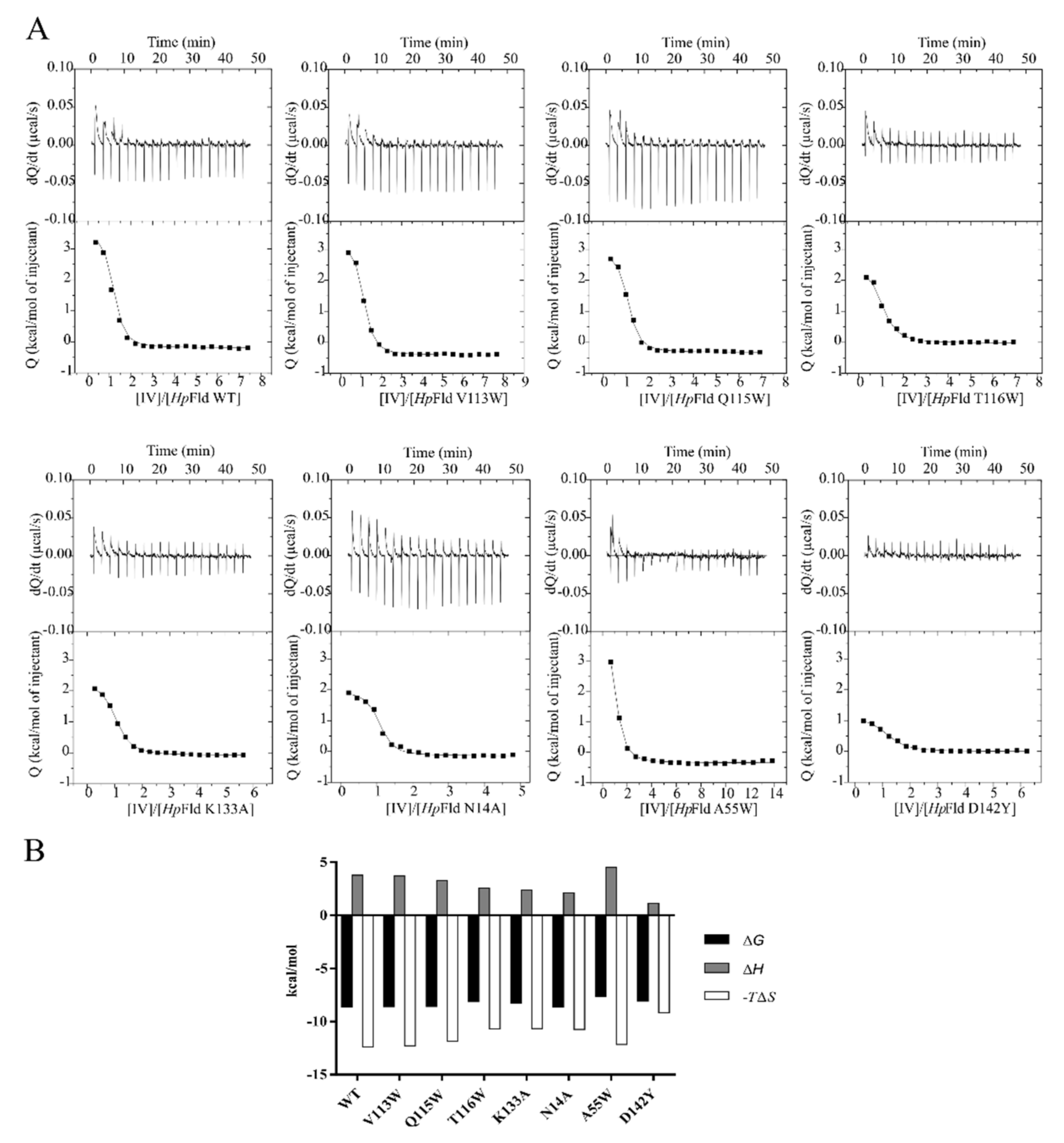 Ijms 22 10137 g004 Ijms 22 10137 g004