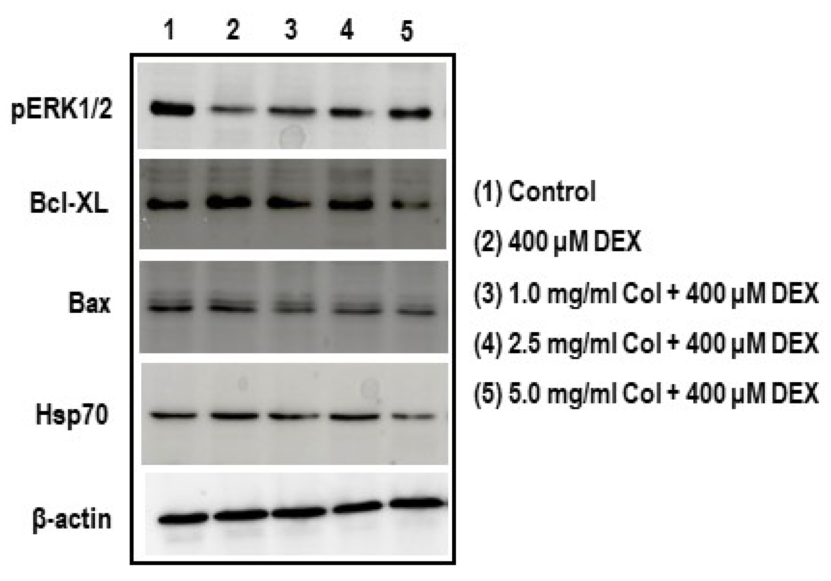 Ijms 22 10195 g010a
