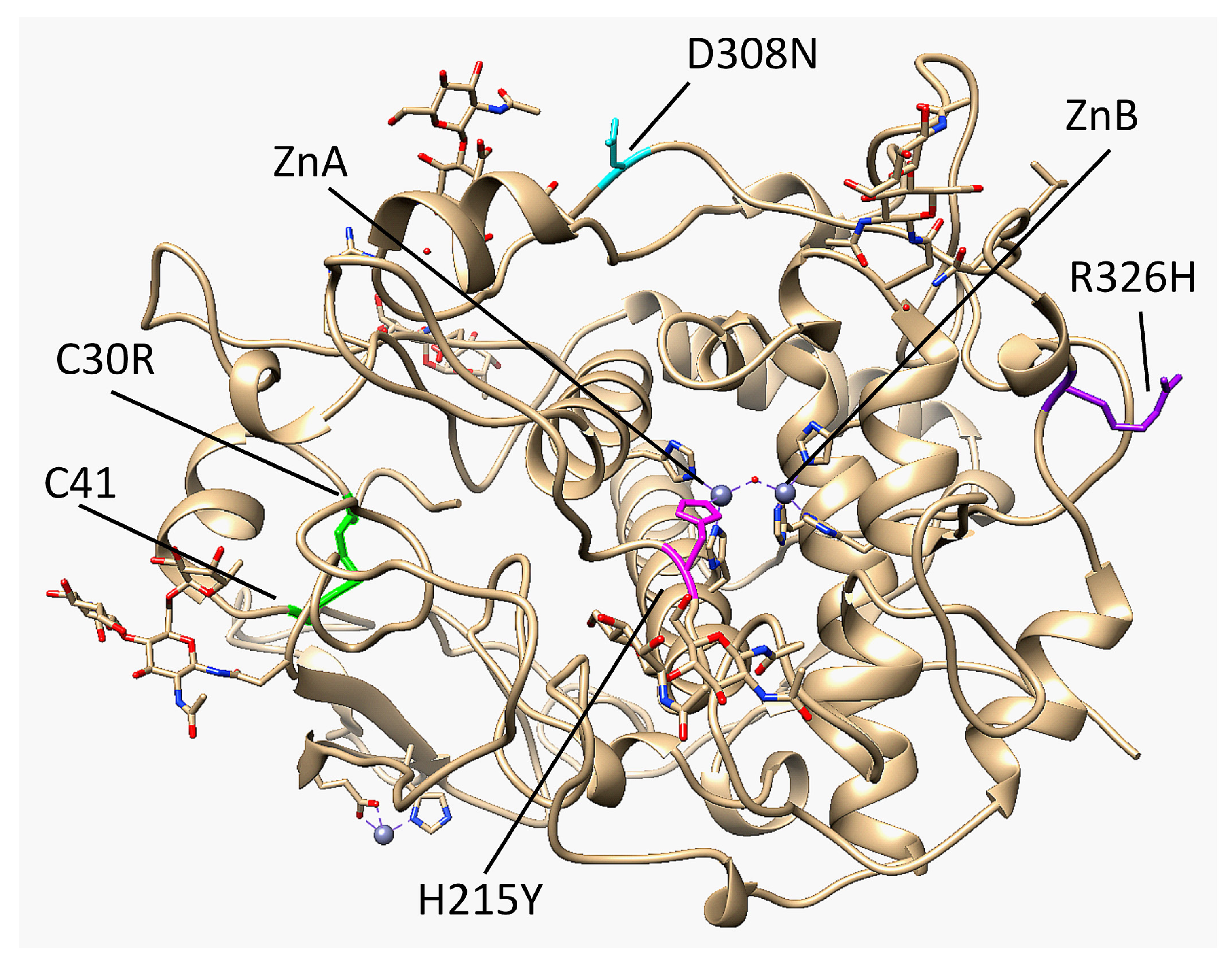 Ijms 22 10203 g001