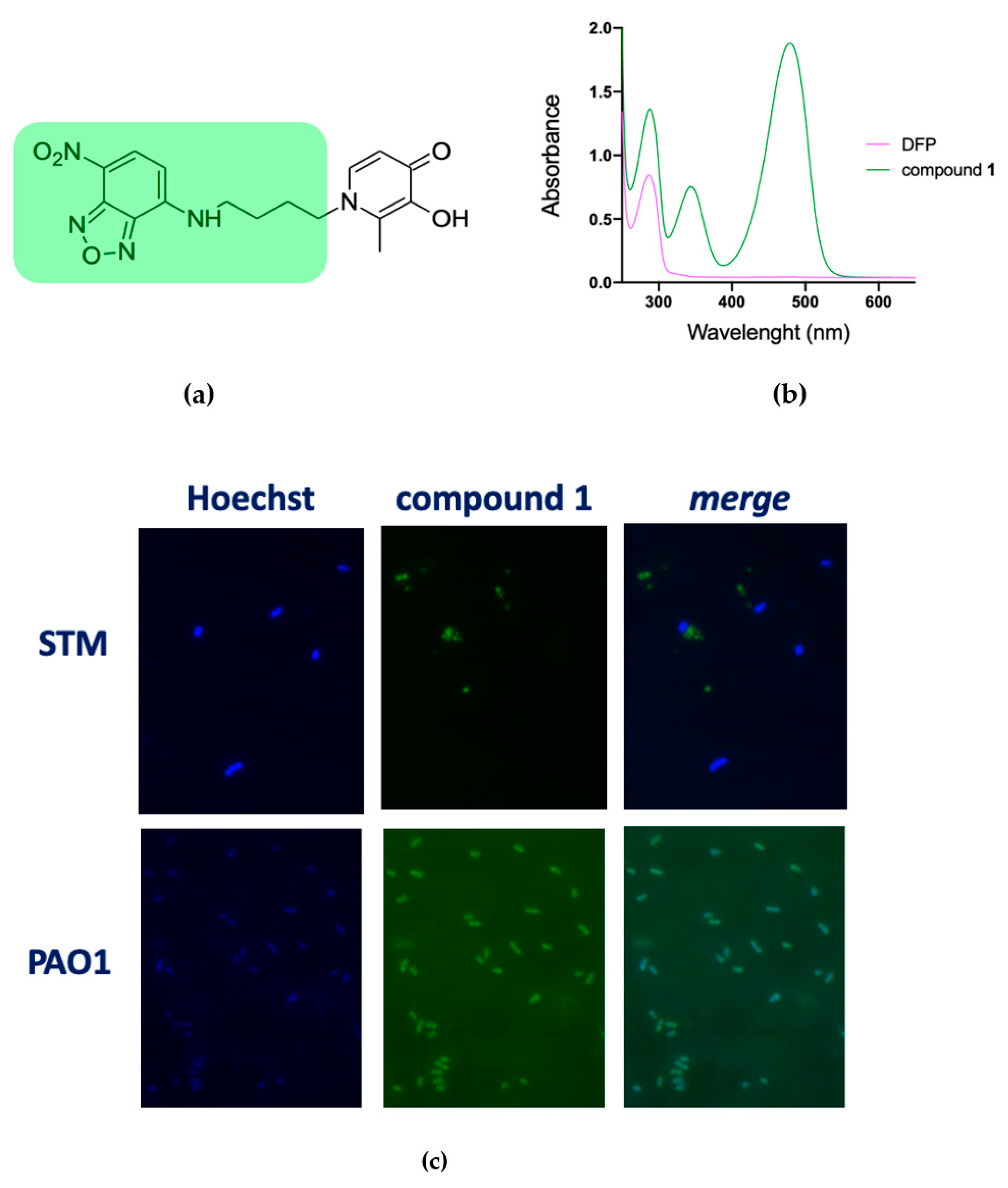 Ijms 22 10217 g003 Ijms 22 10217 g003