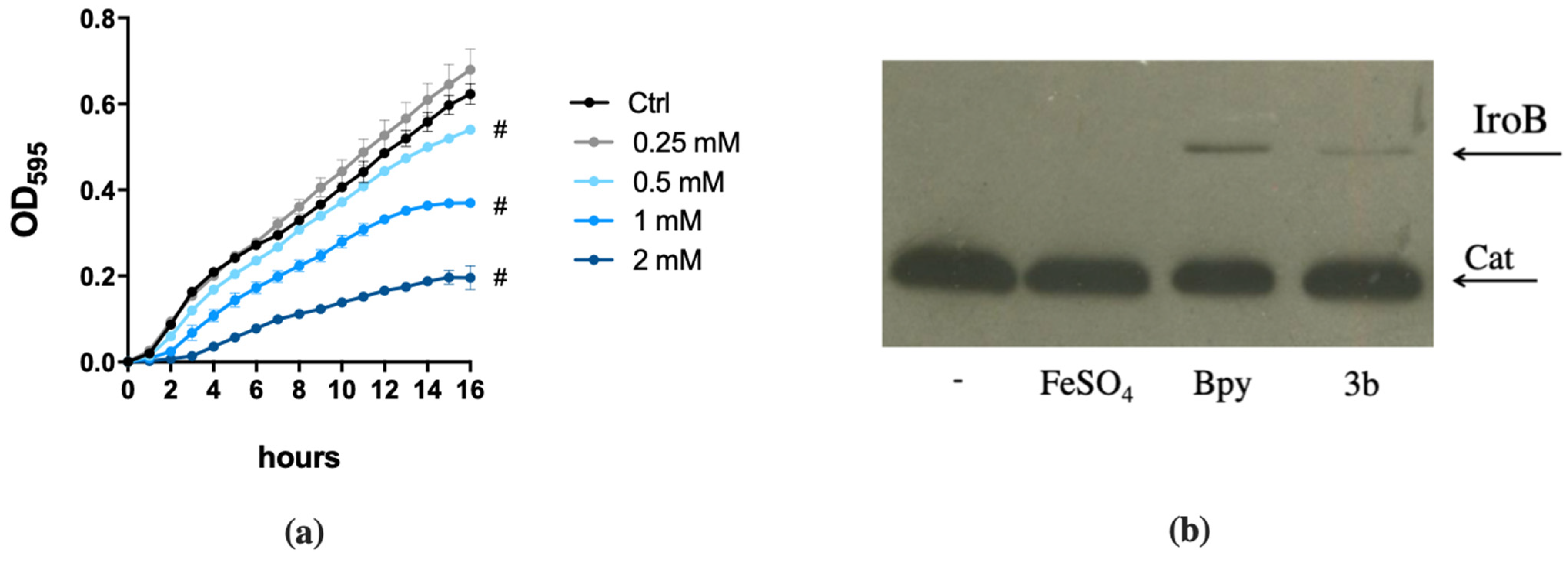 Ijms 22 10217 g005a Ijms 22 10217 g005a