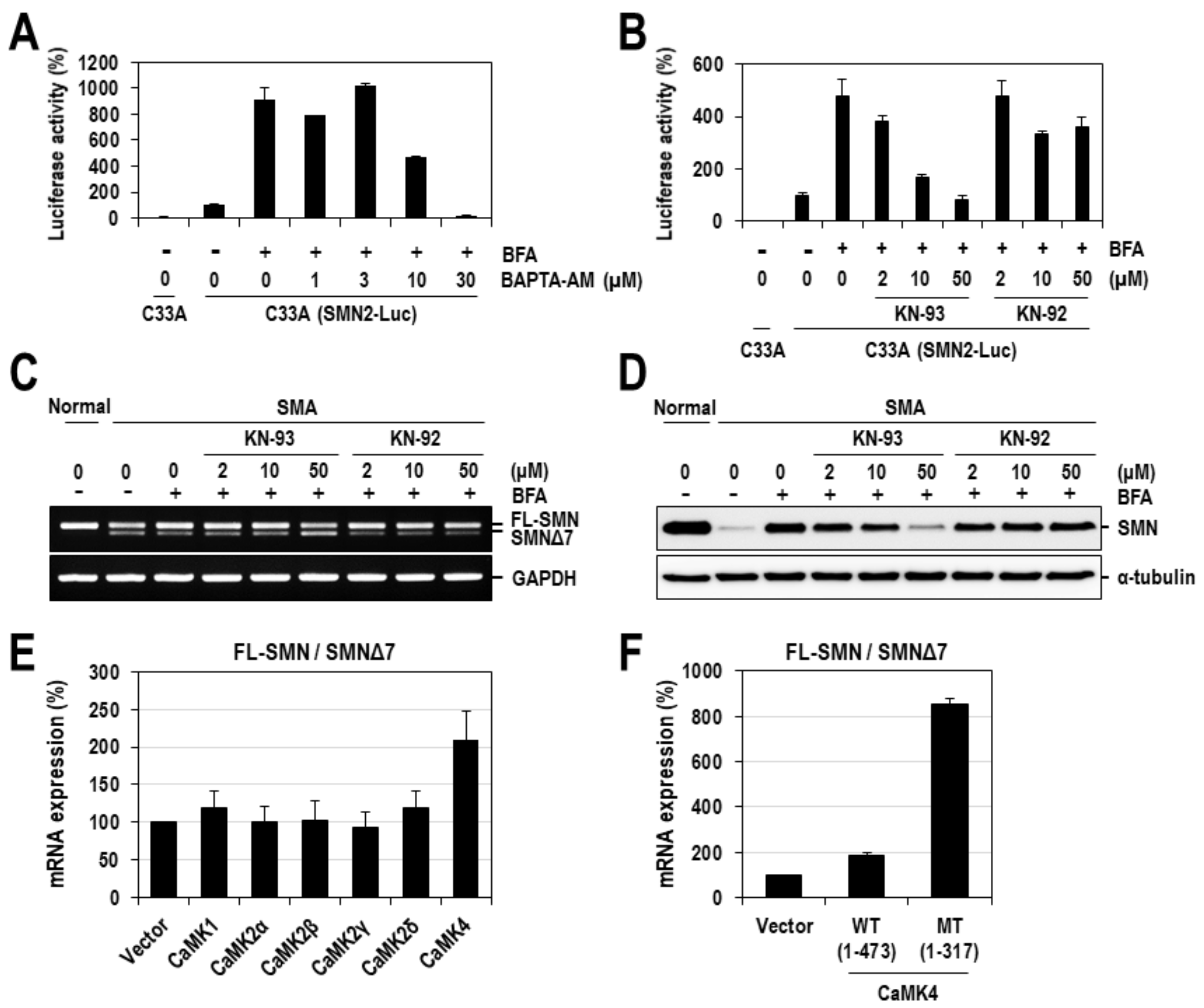 Ijms 22 10234 g005 Ijms 22 10234 g005