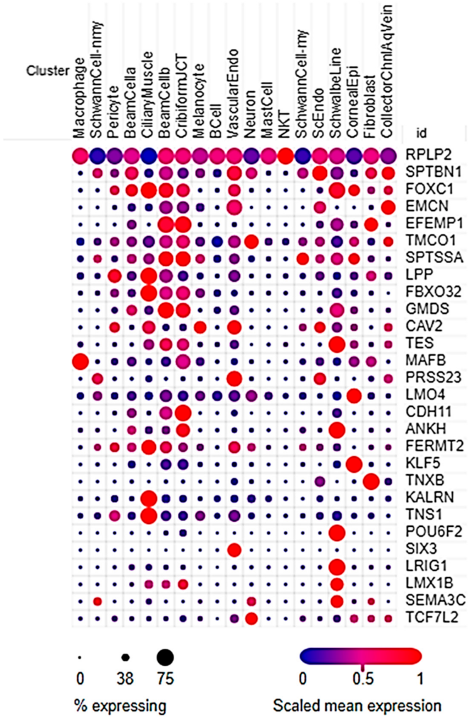 Ijms 22 10288 g003 Ijms 22 10288 g003