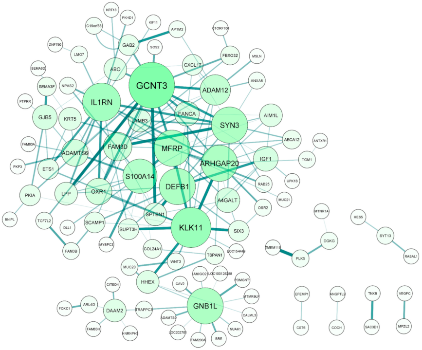 Ijms 22 10288 g004 Ijms 22 10288 g004