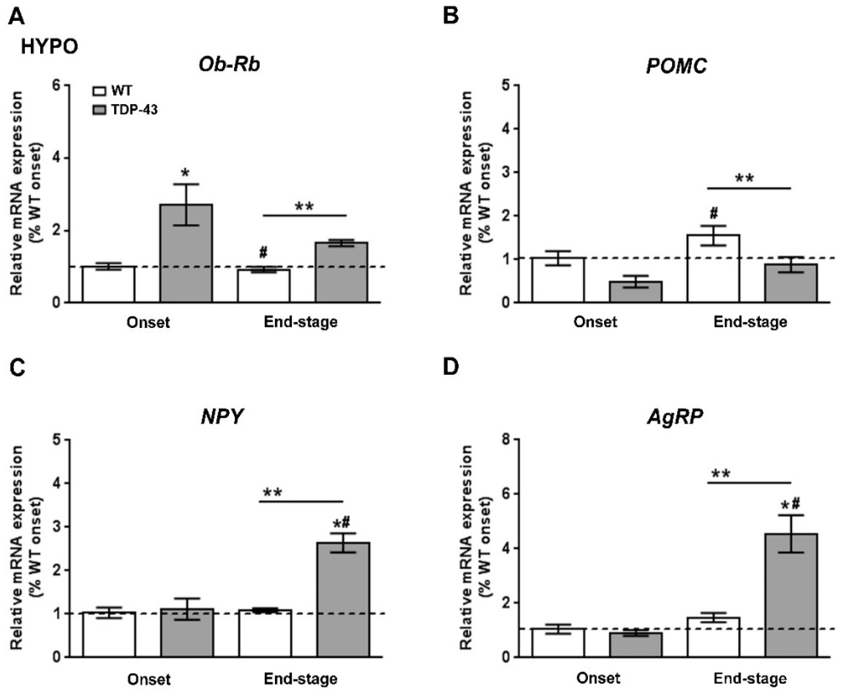 Ijms 22 10305 g003 Ijms 22 10305 g003