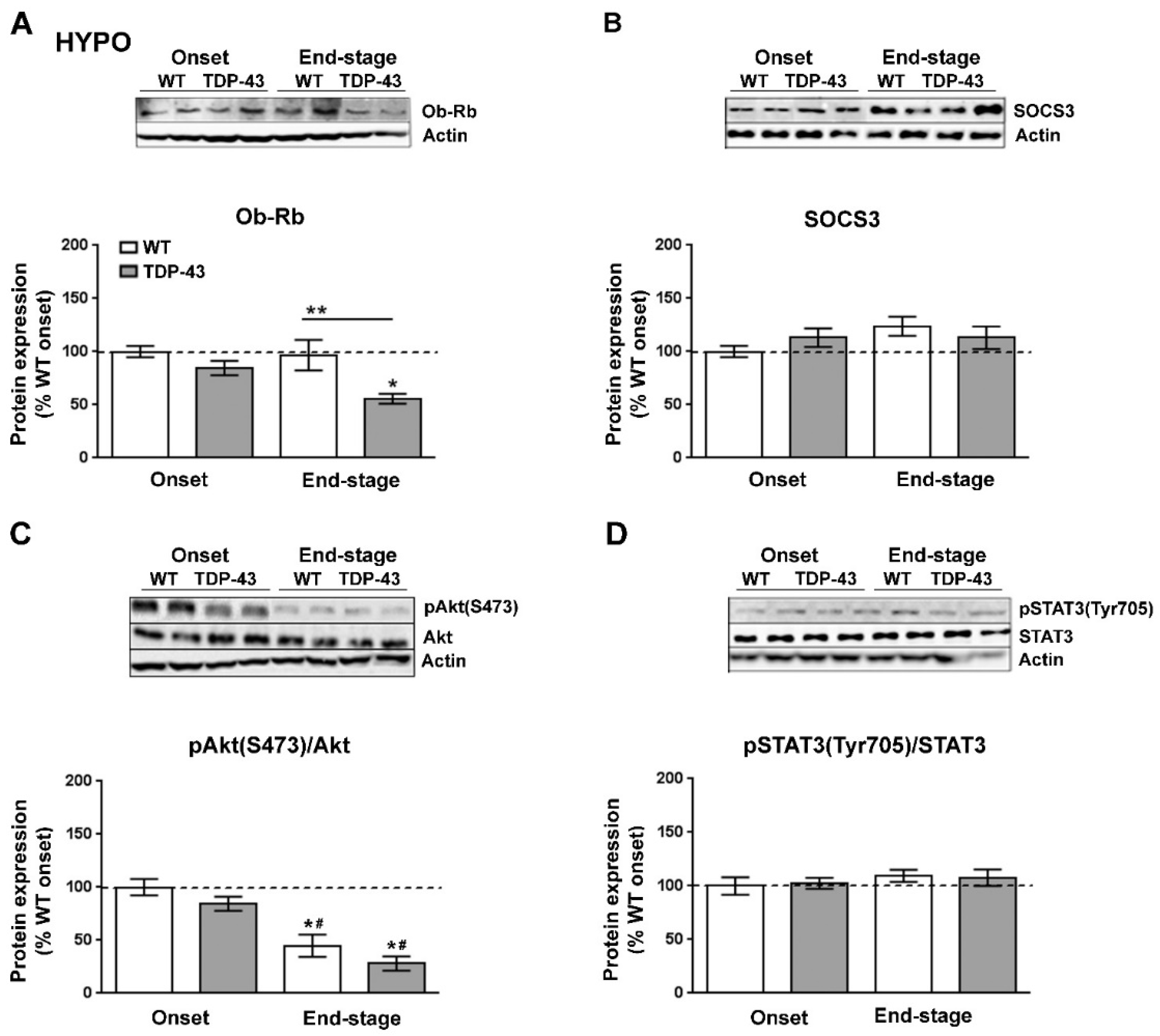 Ijms 22 10305 g004 Ijms 22 10305 g004