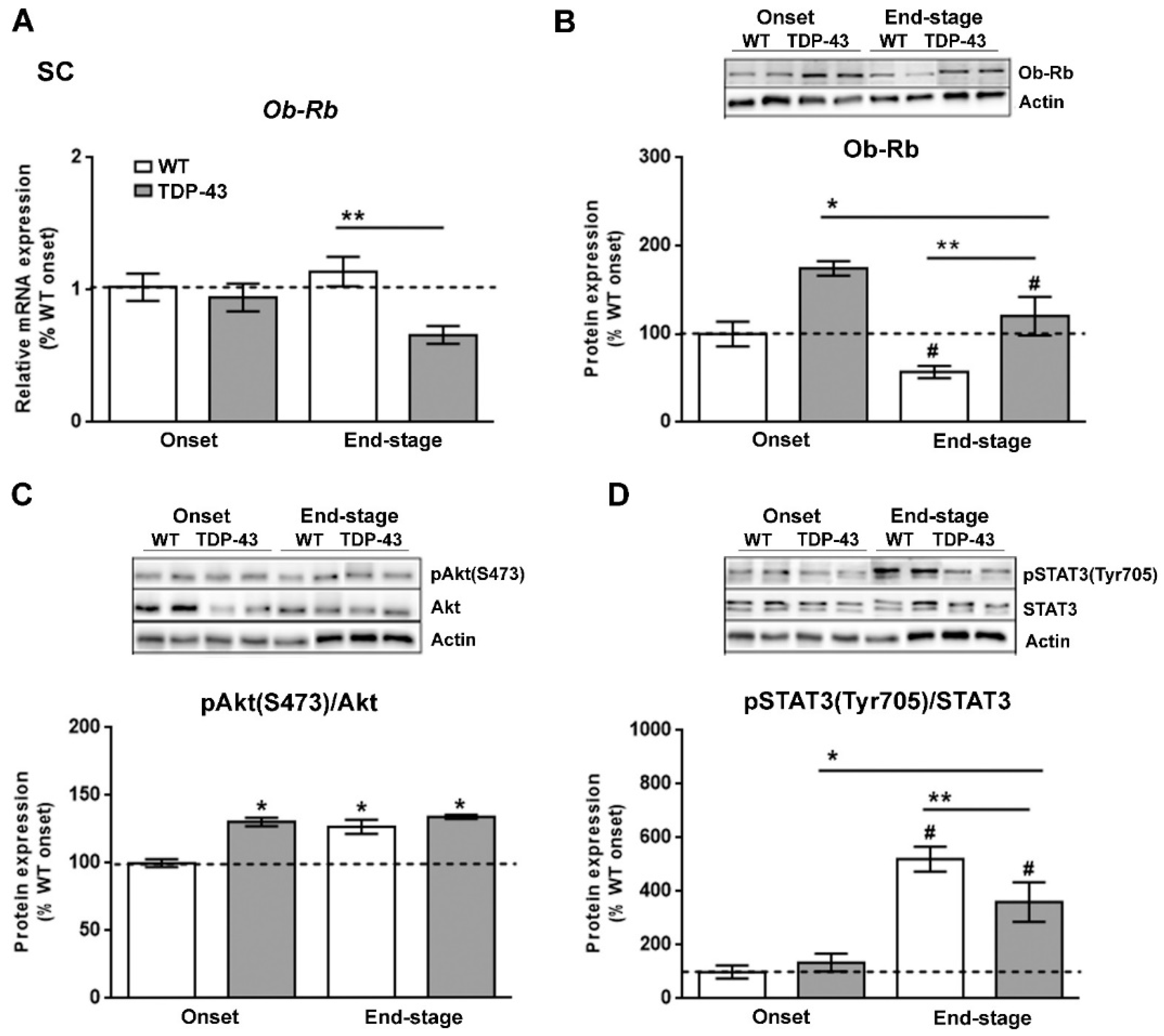 Ijms 22 10305 g005 Ijms 22 10305 g005