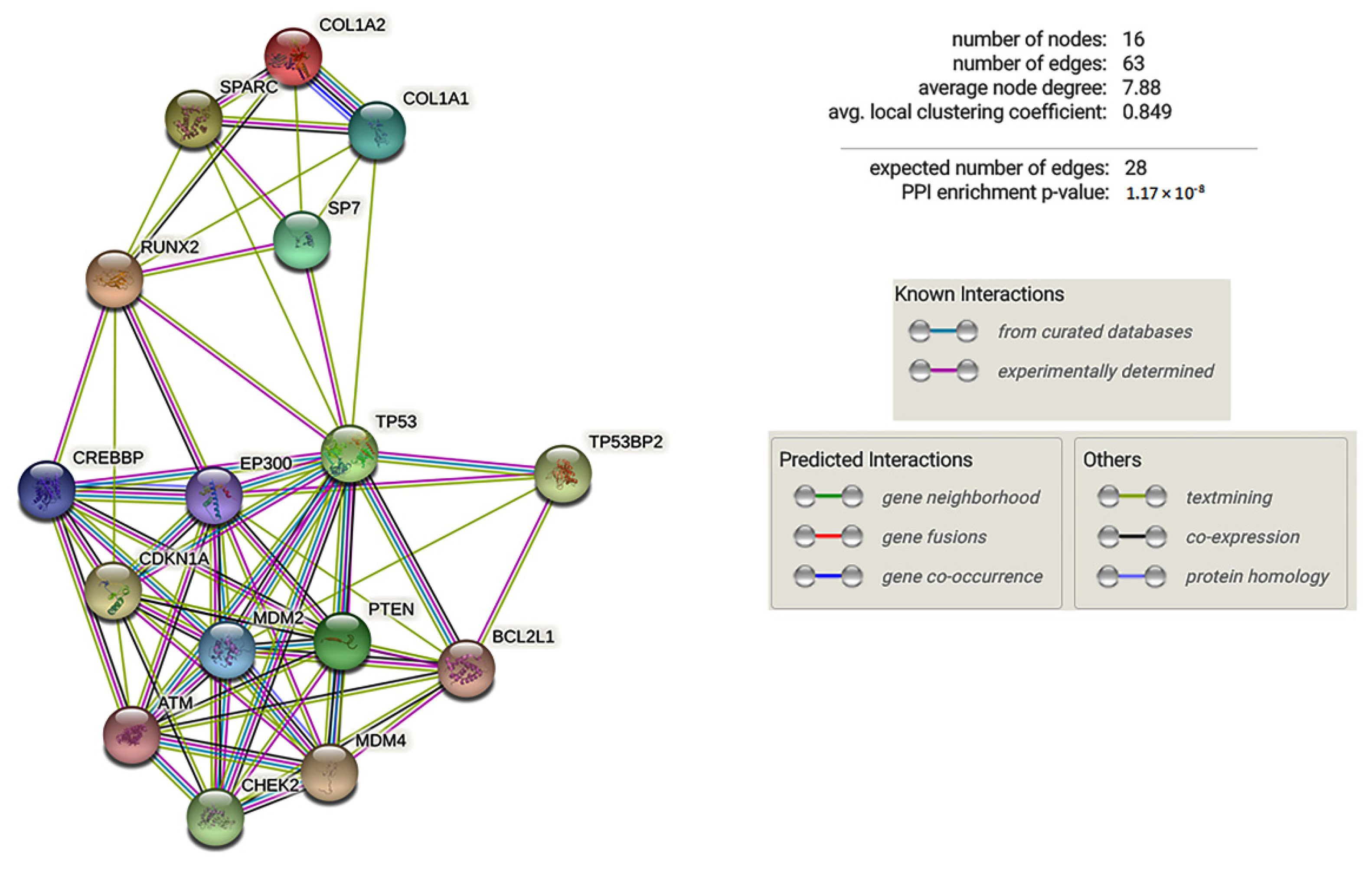 Ijms 22 10336 g006 Ijms 22 10336 g006