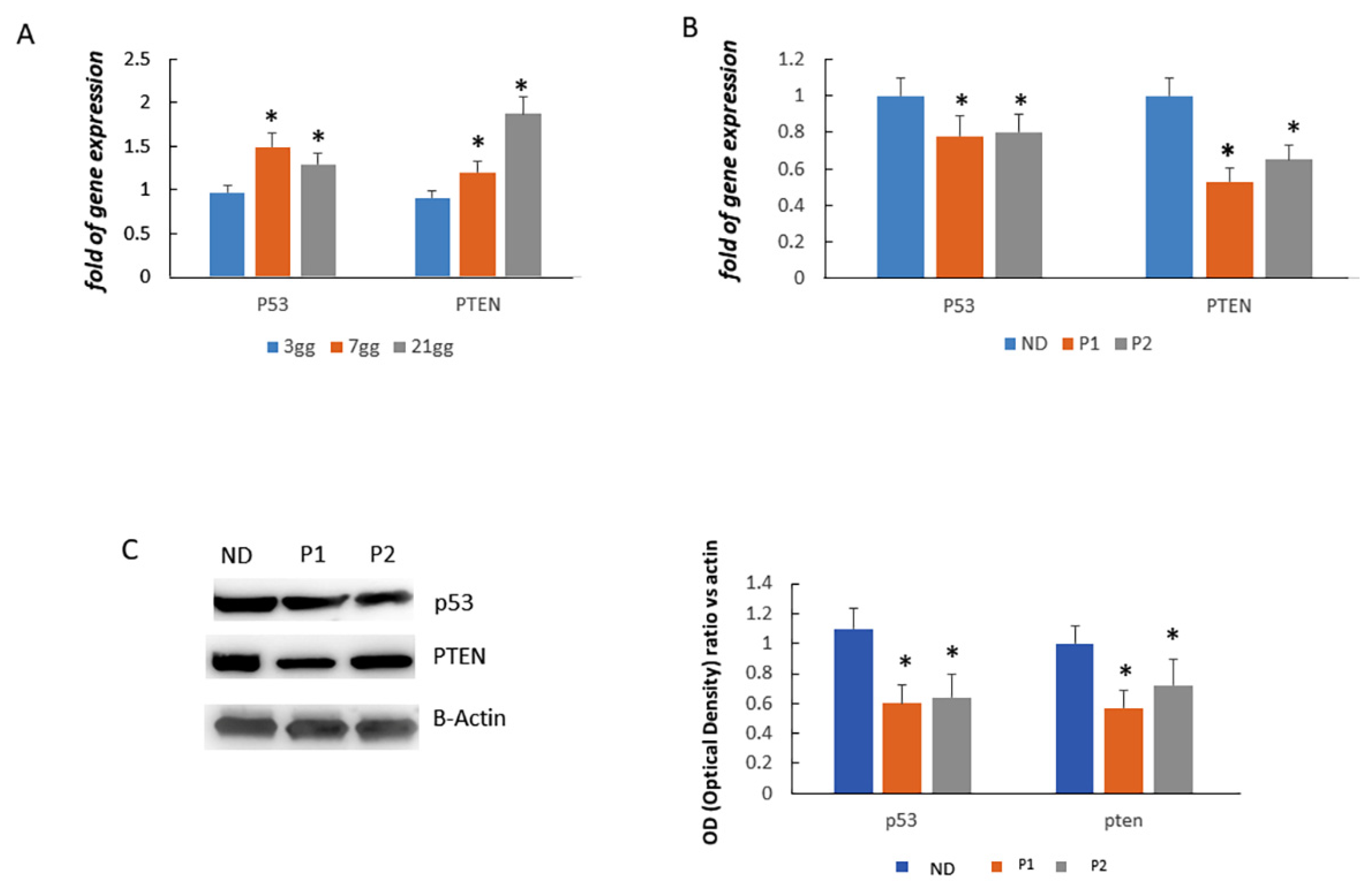 Ijms 22 10336 g007 Ijms 22 10336 g007
