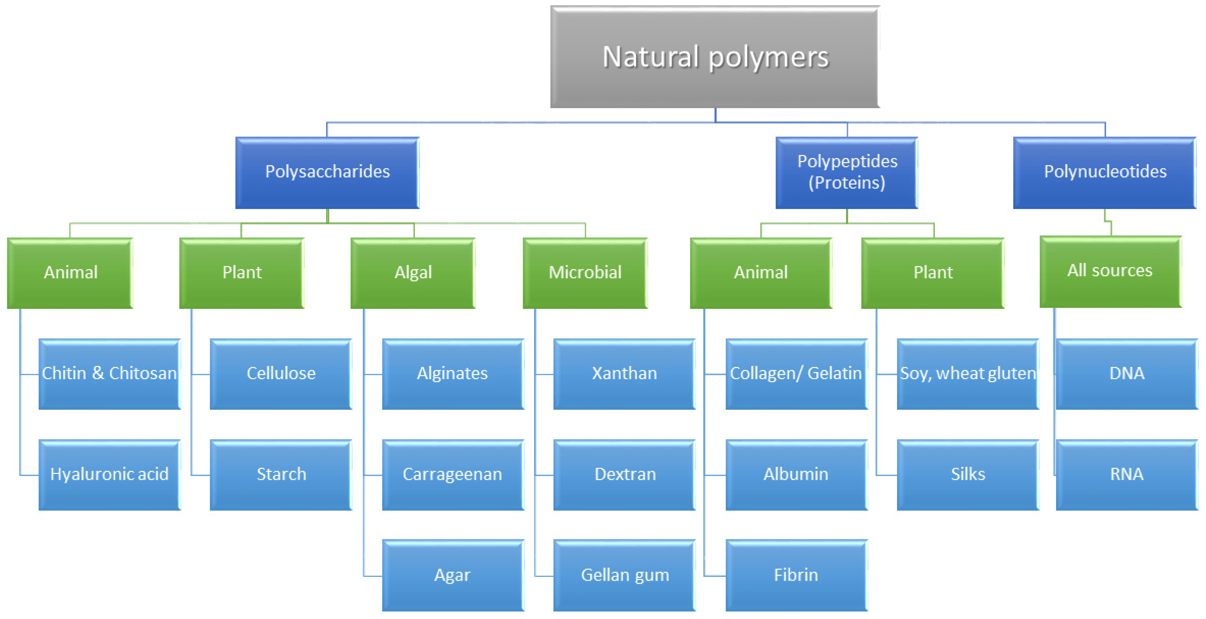 Ijms 22 10337 g002 Ijms 22 10337 g002