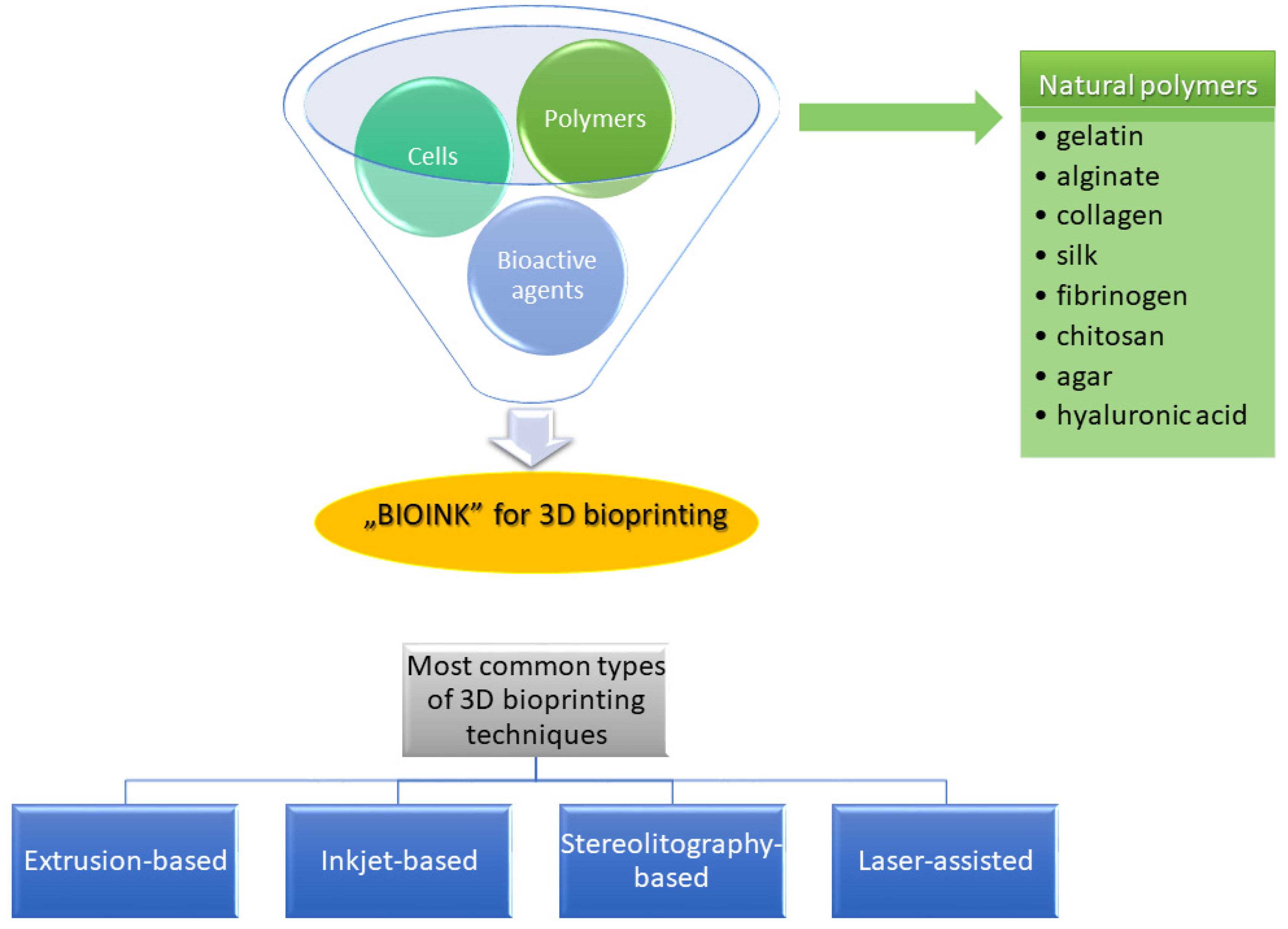 Ijms 22 10337 g005 Ijms 22 10337 g005