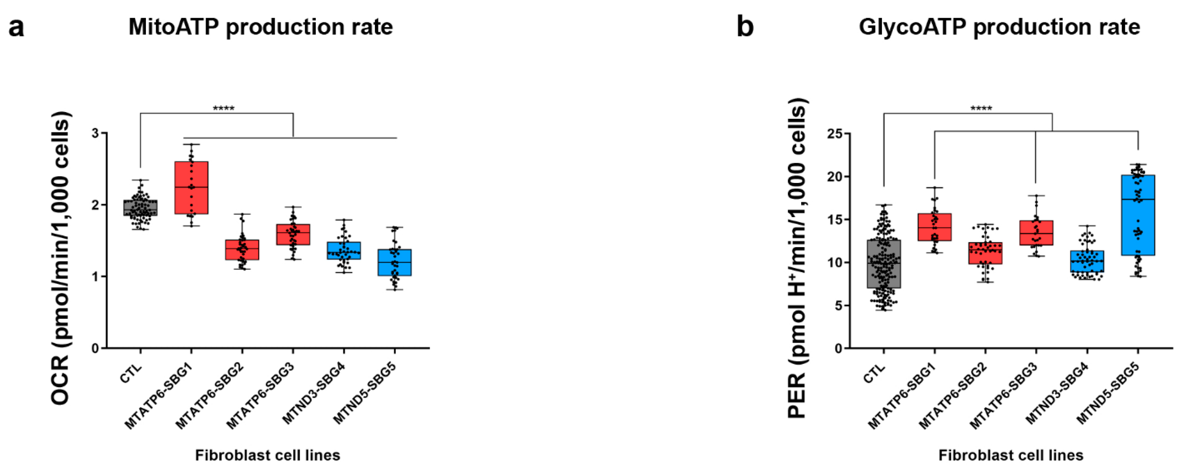 IJMS | Free Full-Text | Evaluating the Bioenergetics Health Index 