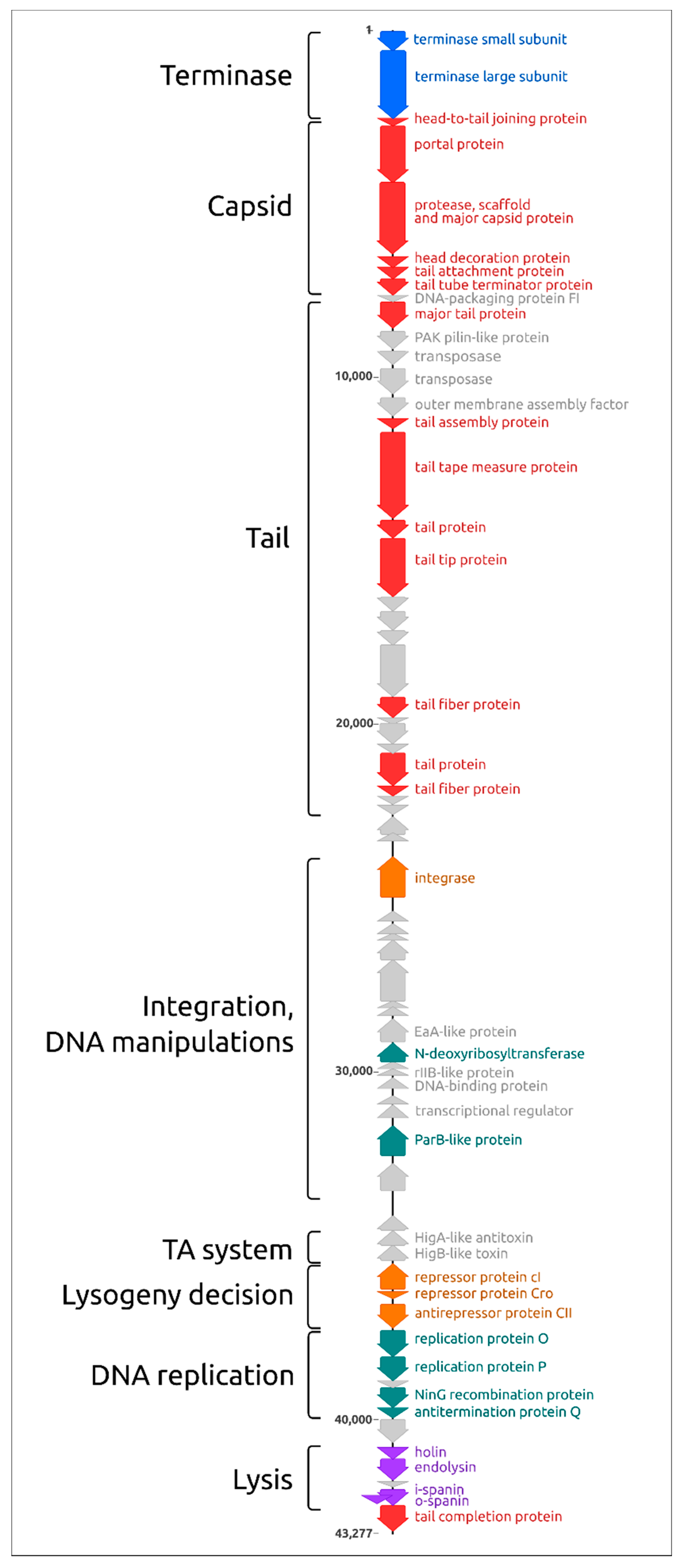 Ijms 22 10350 g003 Ijms 22 10350 g003