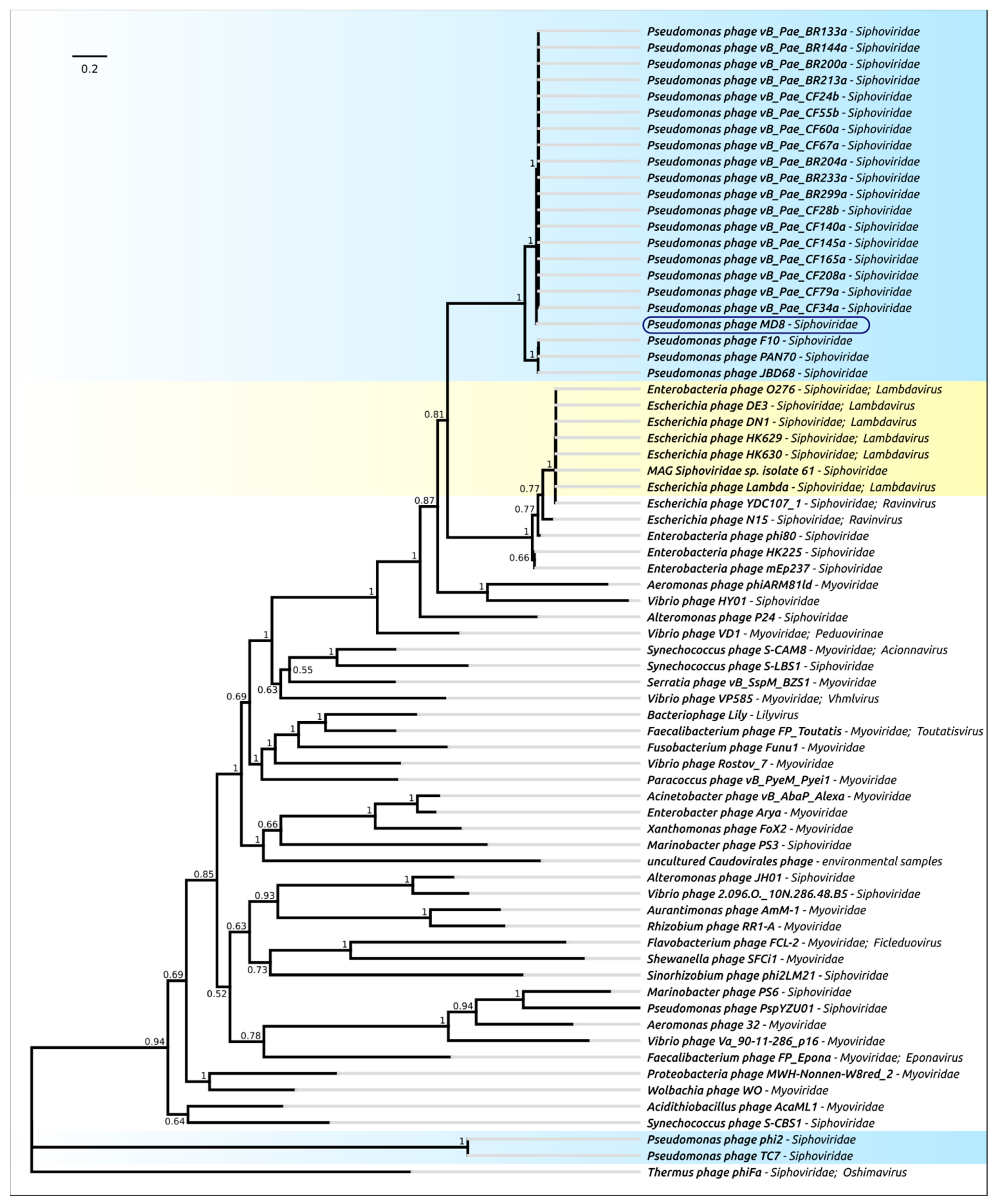 Ijms 22 10350 g005 Ijms 22 10350 g005