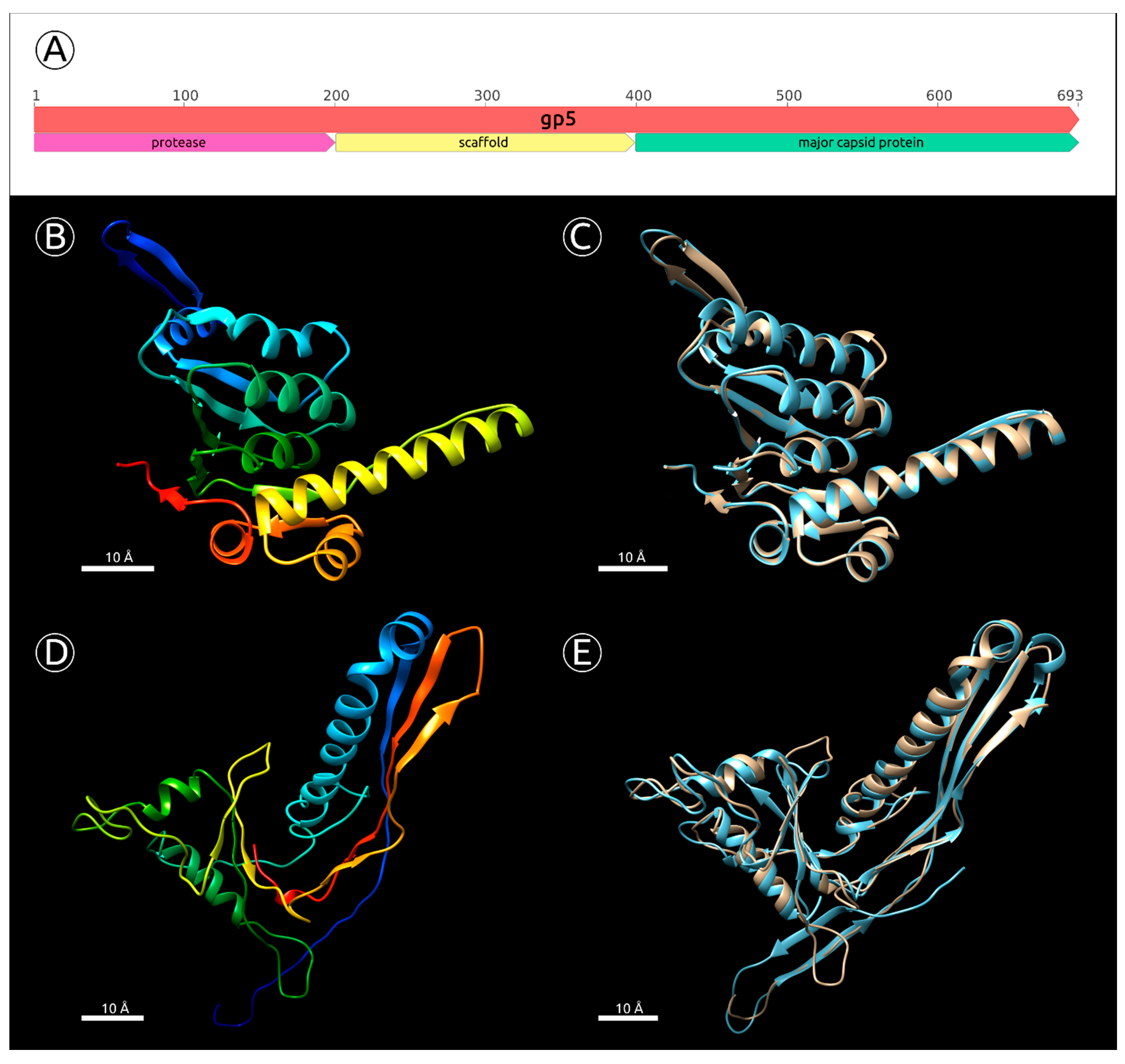 Ijms 22 10350 g006 Ijms 22 10350 g006