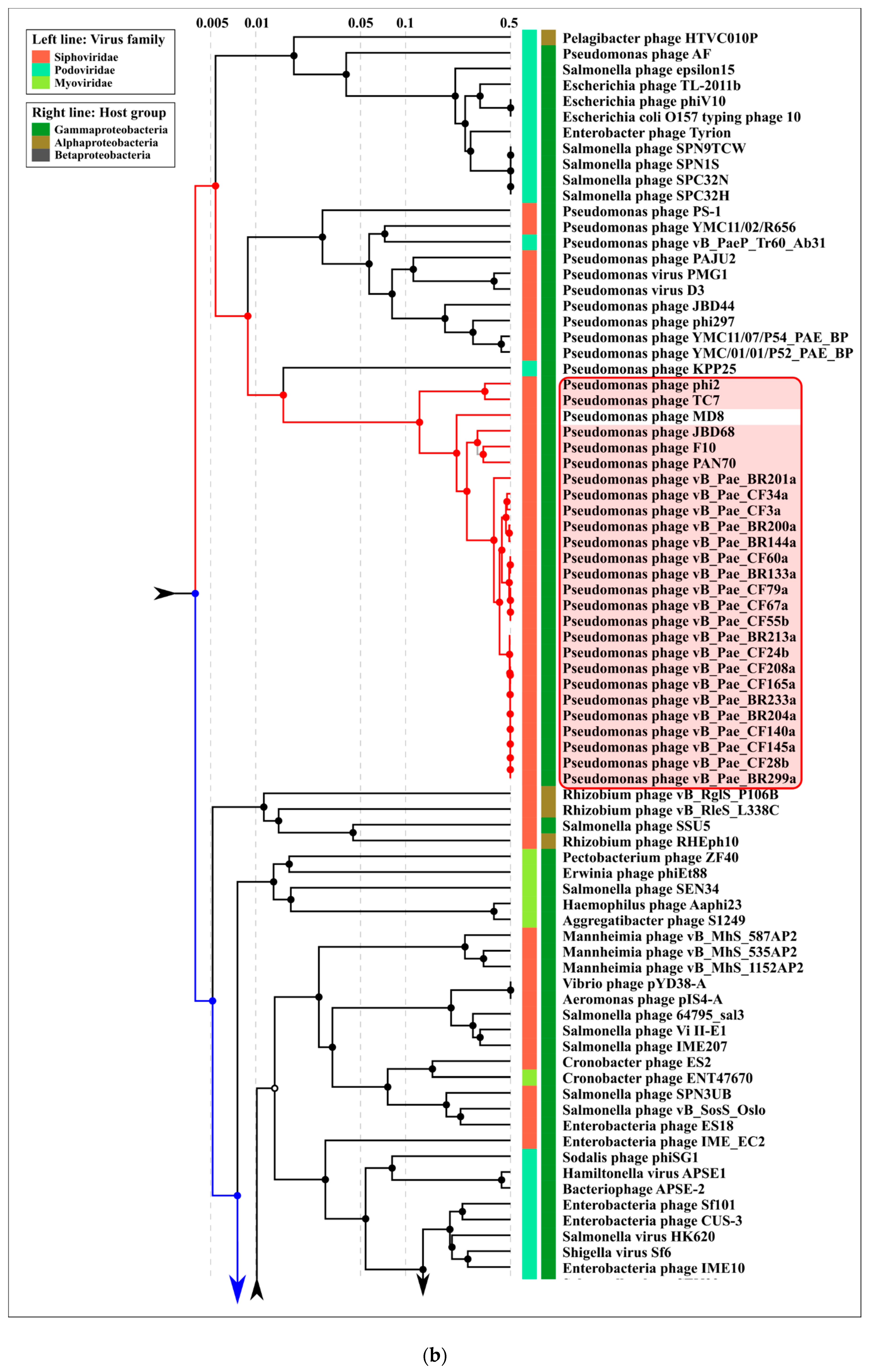 Ijms 22 10350 g009b Ijms 22 10350 g009b