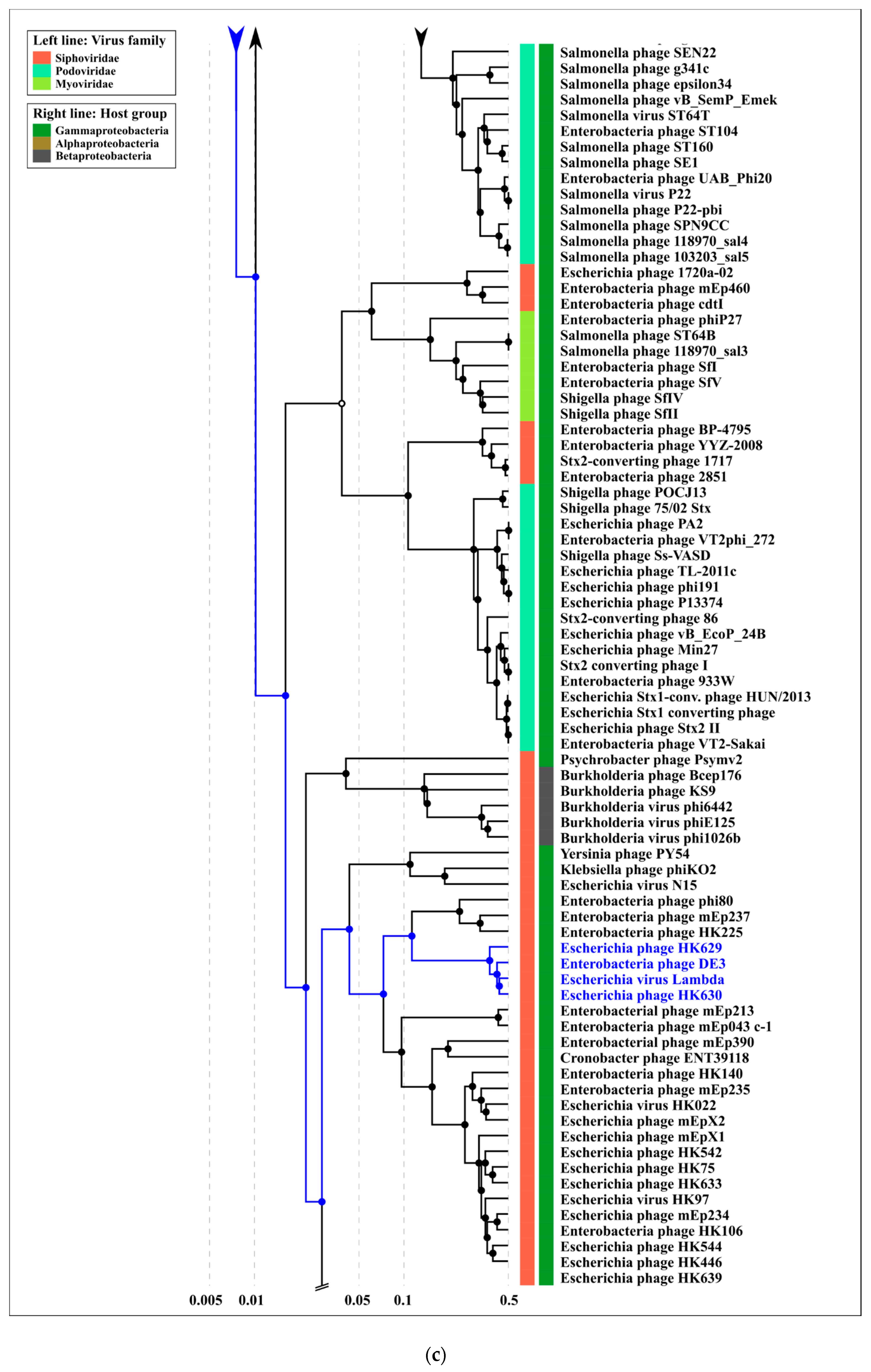 Ijms 22 10350 g009c Ijms 22 10350 g009c