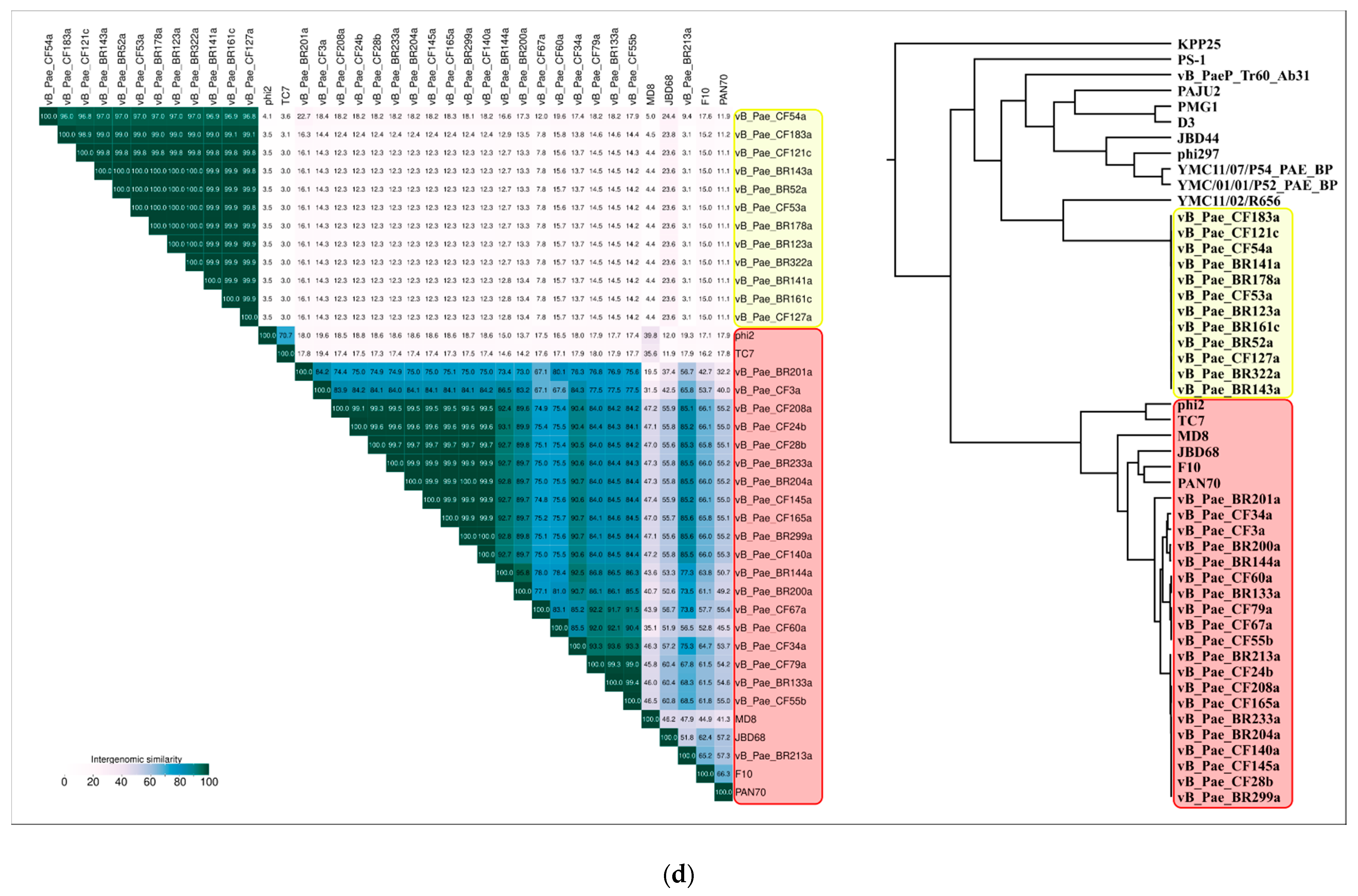 Ijms 22 10350 g009d Ijms 22 10350 g009d