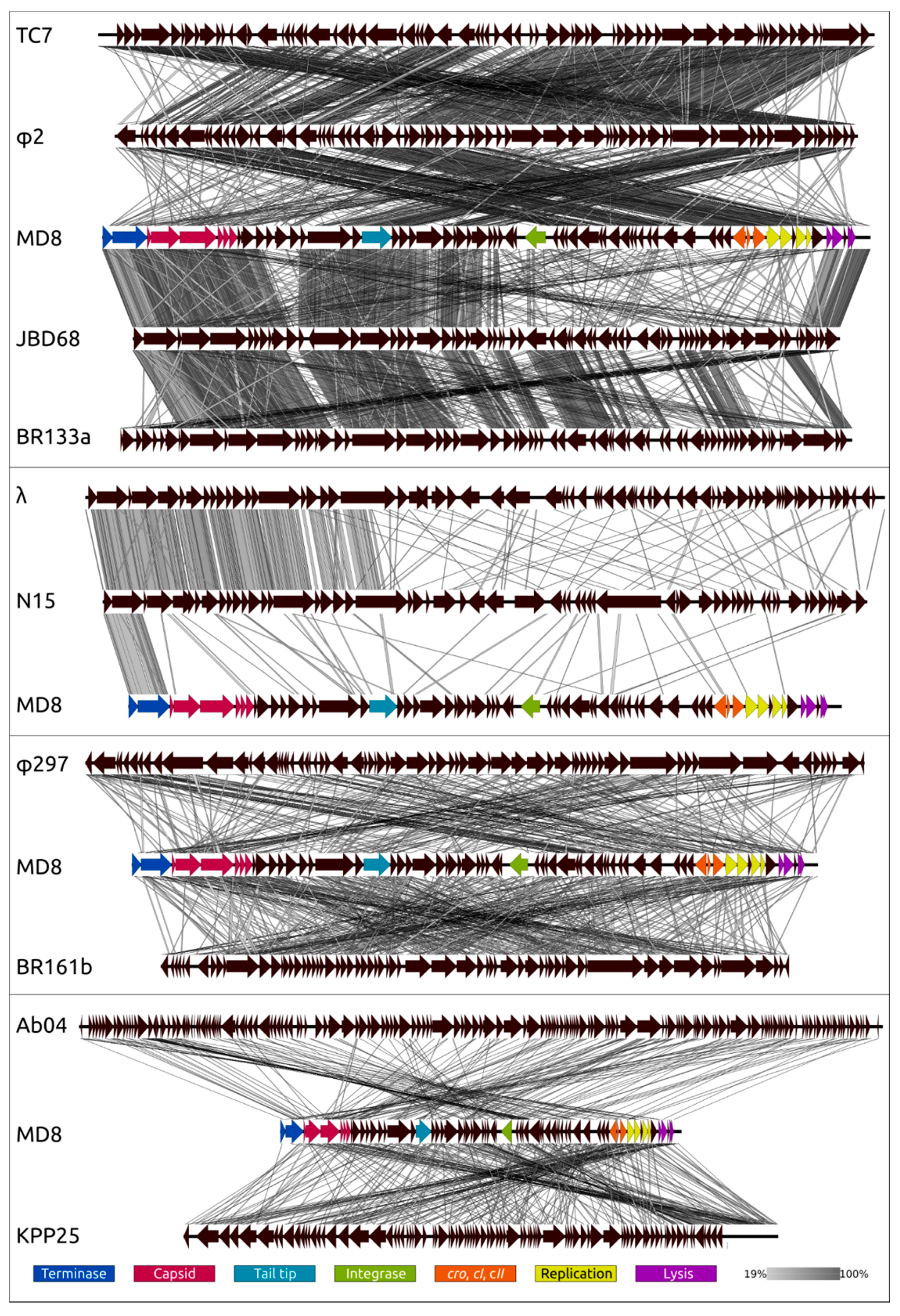 Ijms 22 10350 g010 Ijms 22 10350 g010
