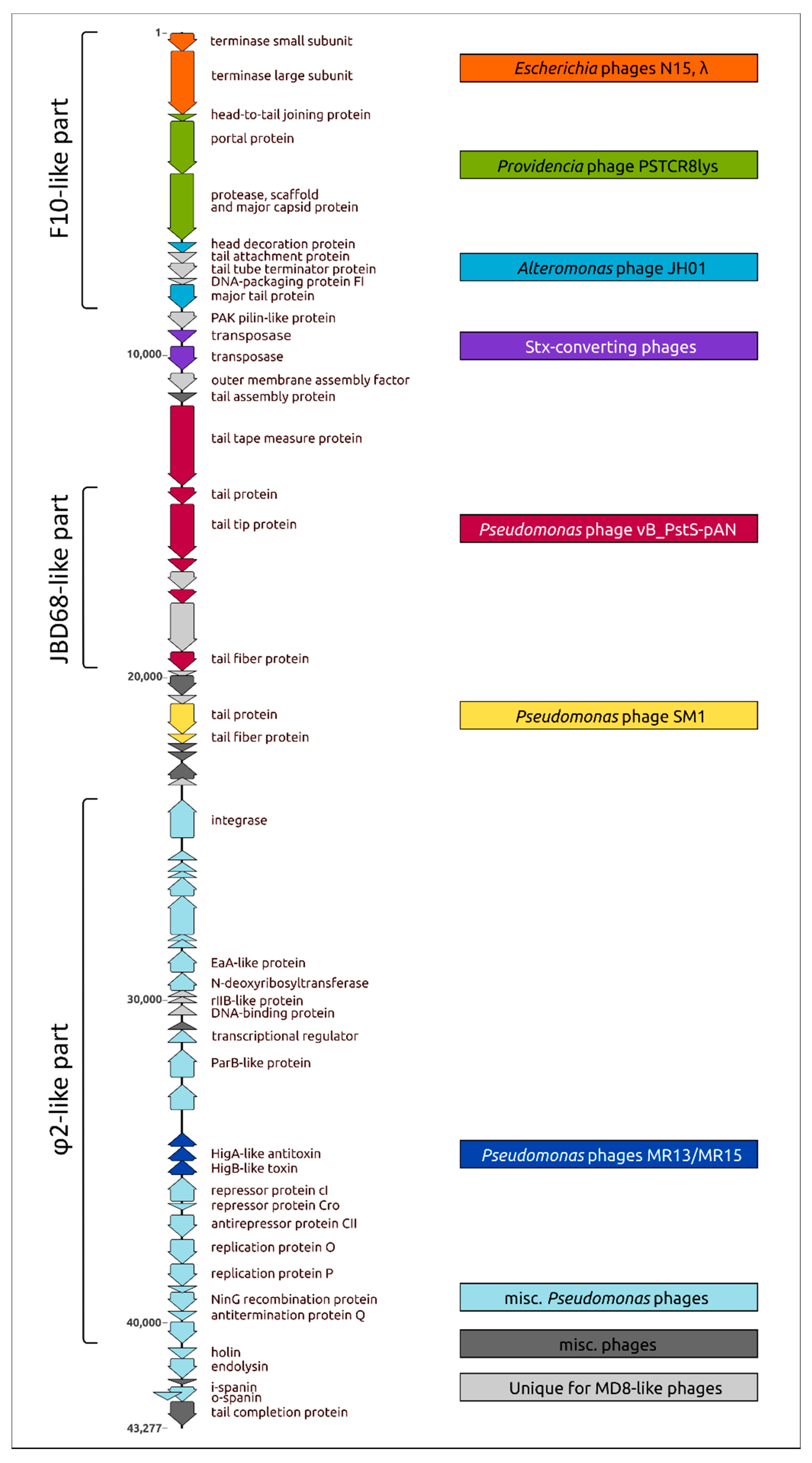 Ijms 22 10350 g011 Ijms 22 10350 g011