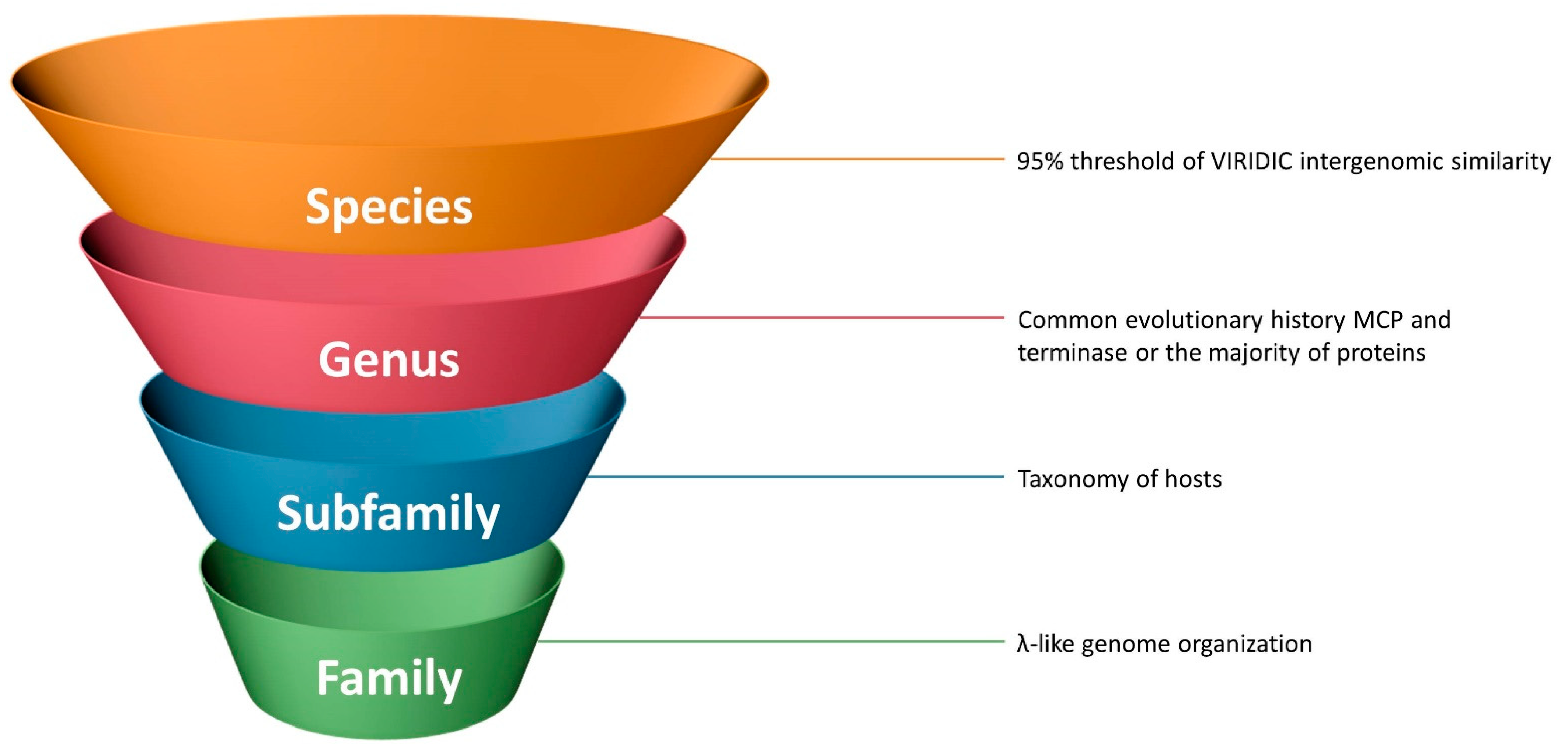 Ijms 22 10350 g012 Ijms 22 10350 g012