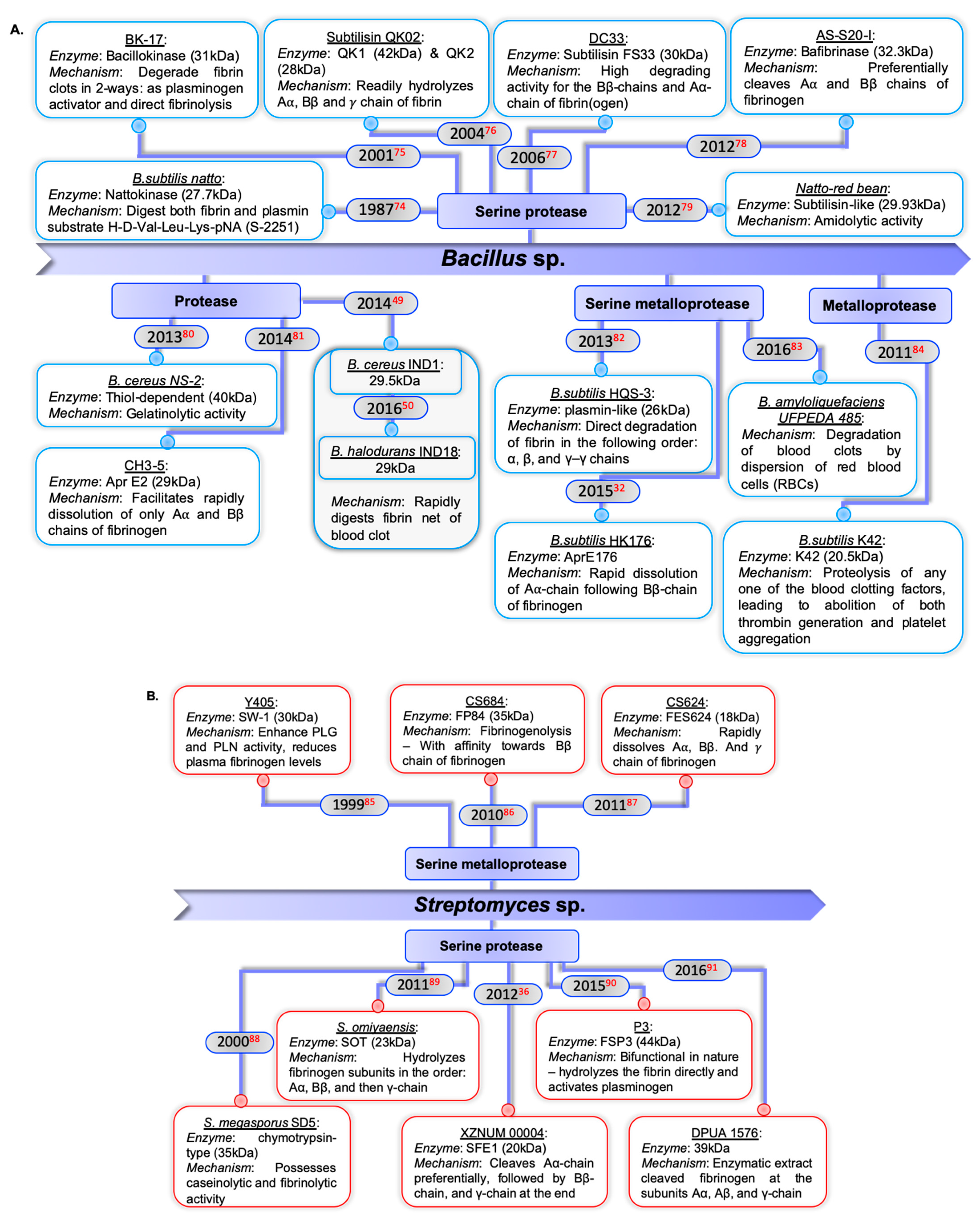 Ijms 22 10468 g003a Ijms 22 10468 g003a