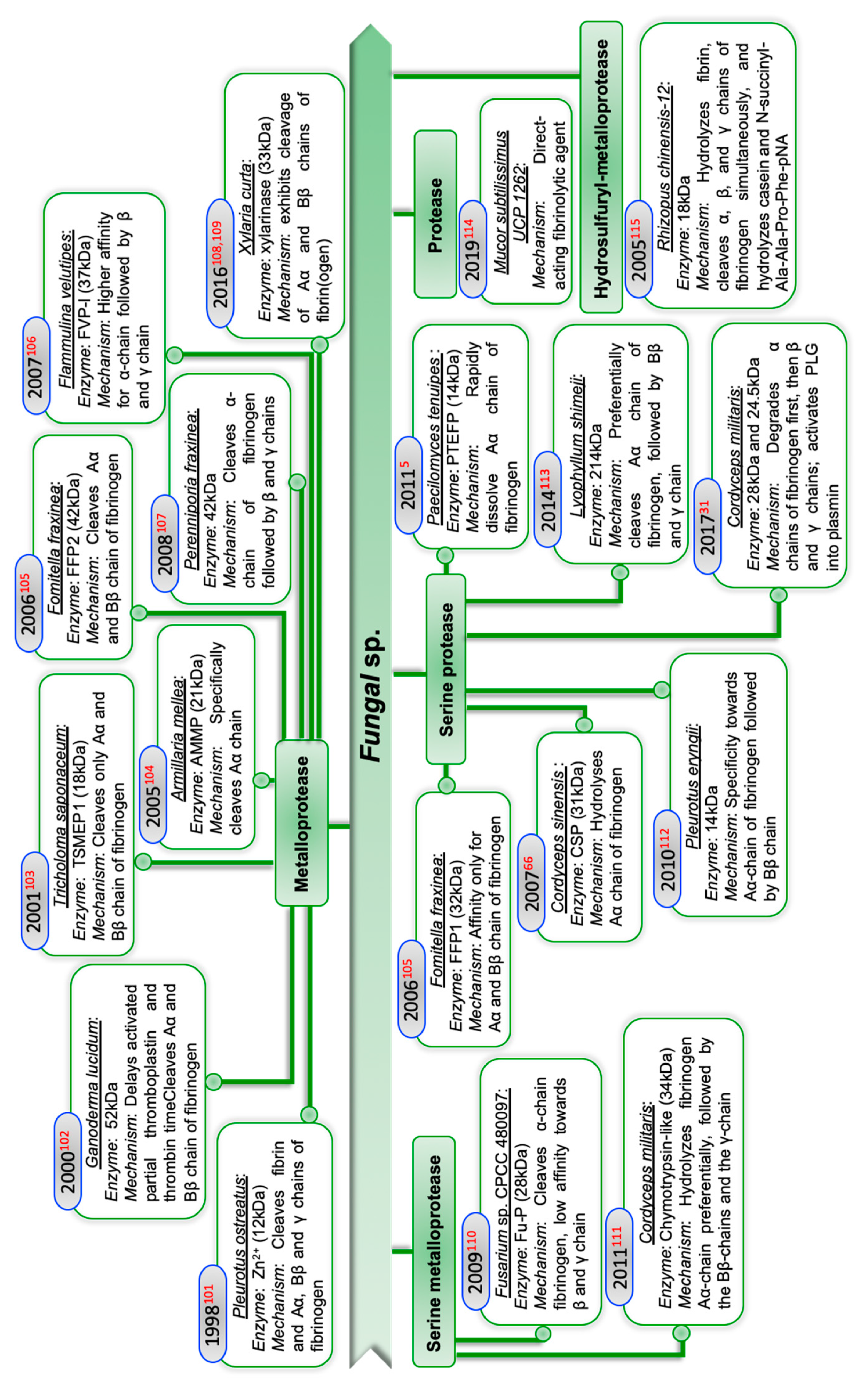 Ijms 22 10468 g004 Ijms 22 10468 g004