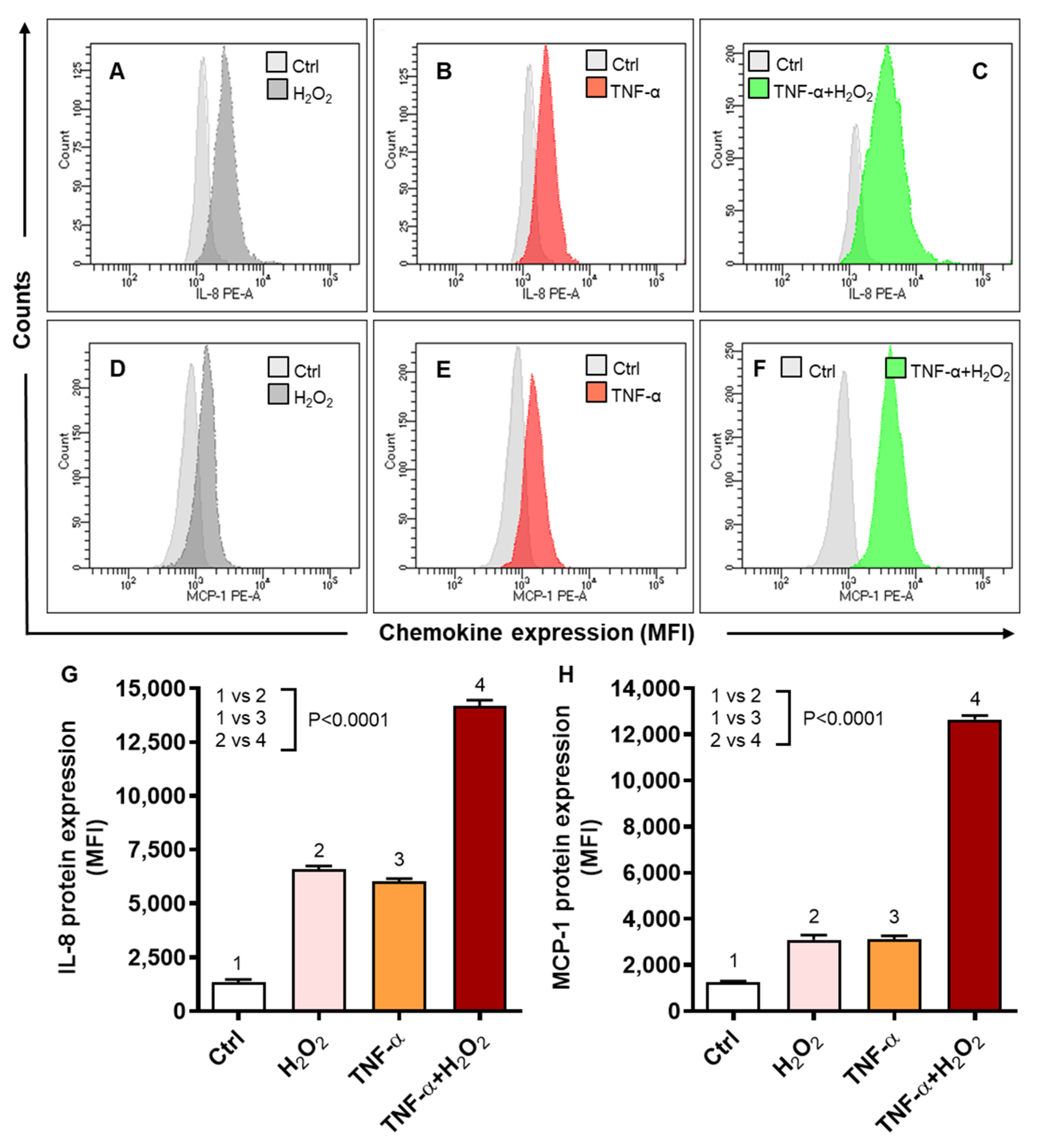 IJMS | Free Full-Text | ROS/TNF-α Crosstalk Triggers the Expression of IL-8  and MCP-1 in Human Monocytic THP-1 Cells via the NF-κB and ERK1/2 Mediated  Signaling