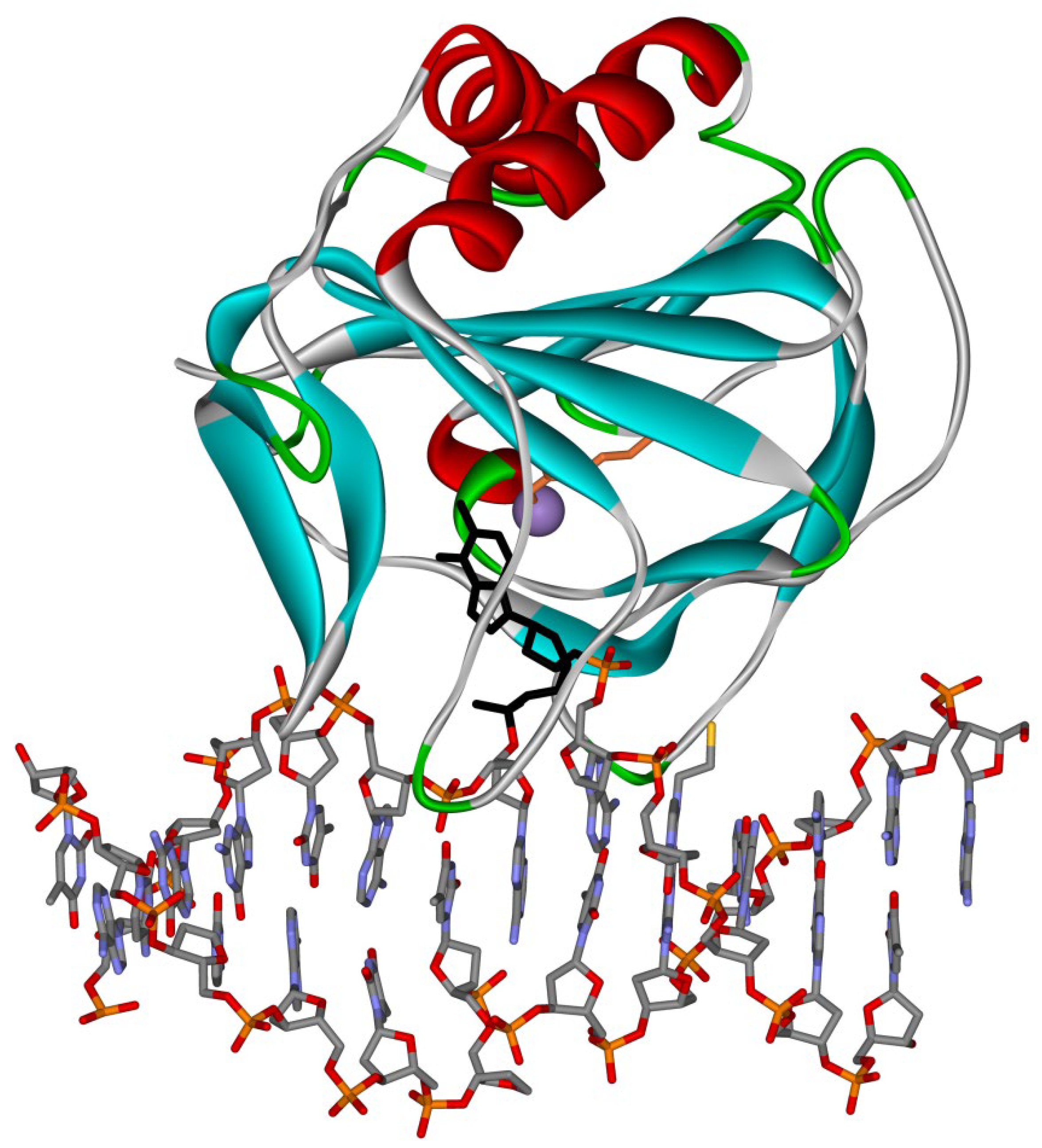 IJMS | Free Full-Text | DNA Demethylation in the Processes of Repair ...