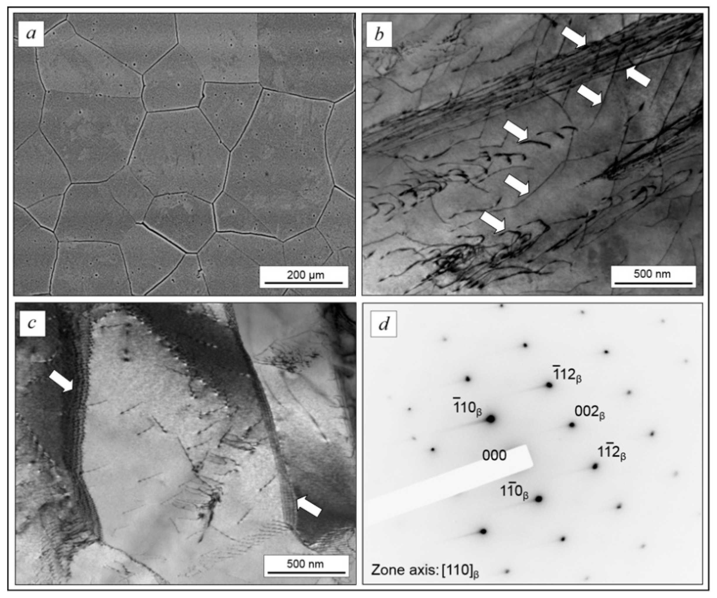 Ijms 22 10611 g004 Ijms 22 10611 g004