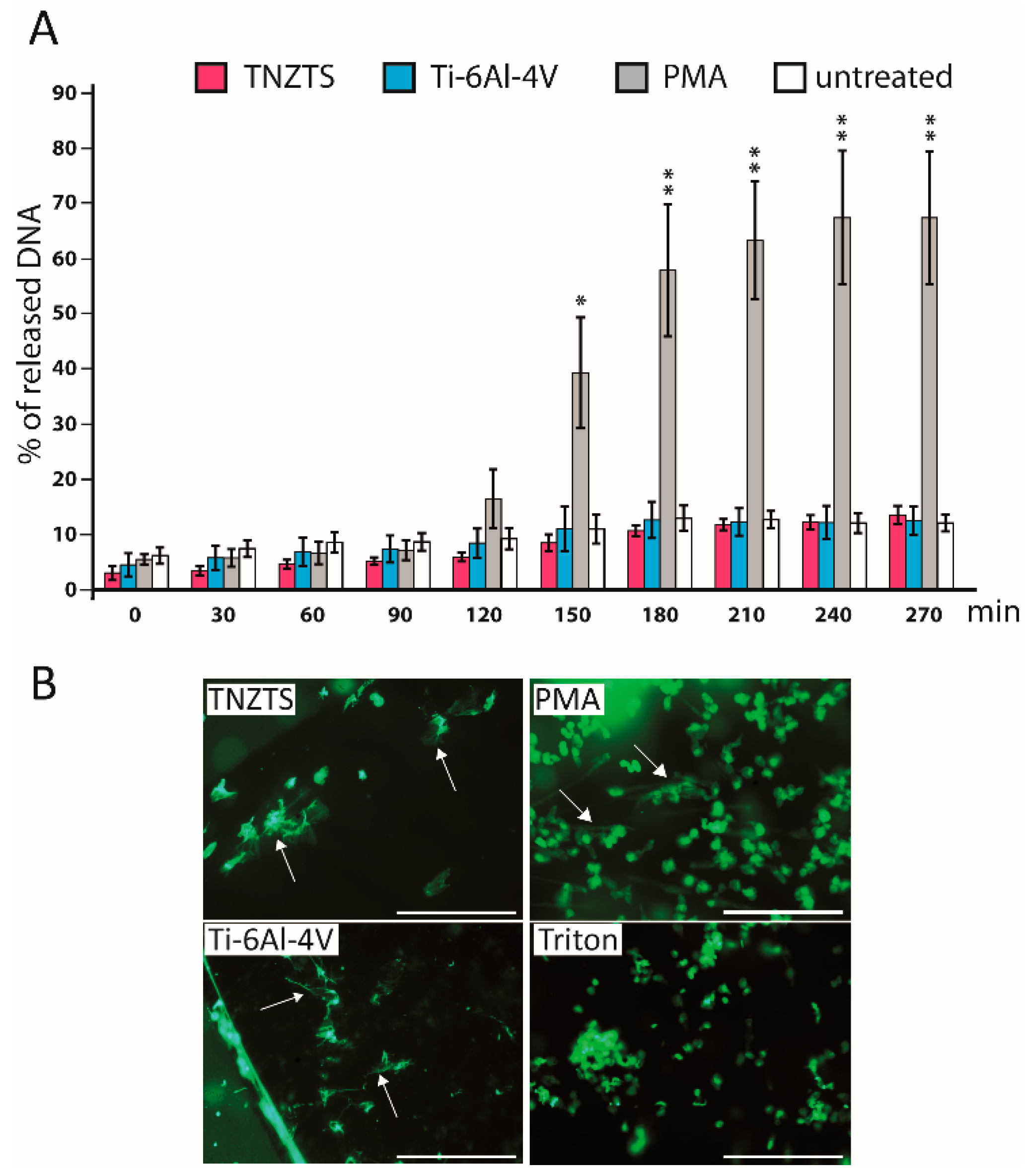 Ijms 22 10611 g009 Ijms 22 10611 g009