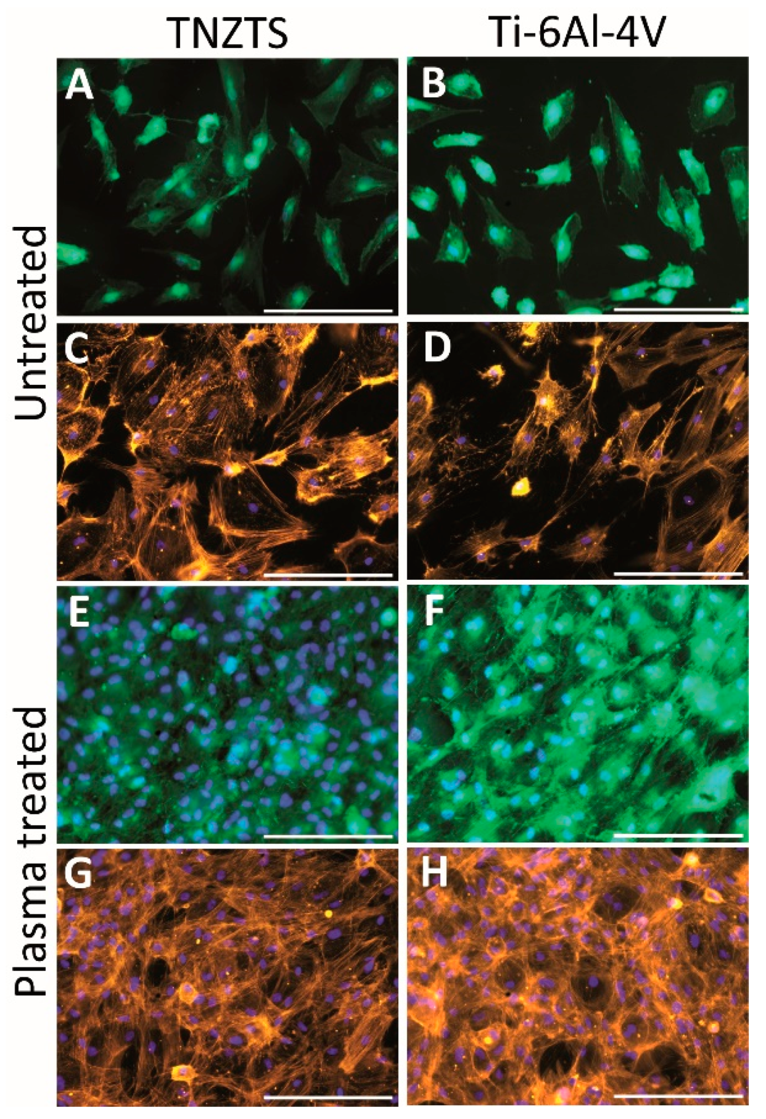 Ijms 22 10611 g012 Ijms 22 10611 g012