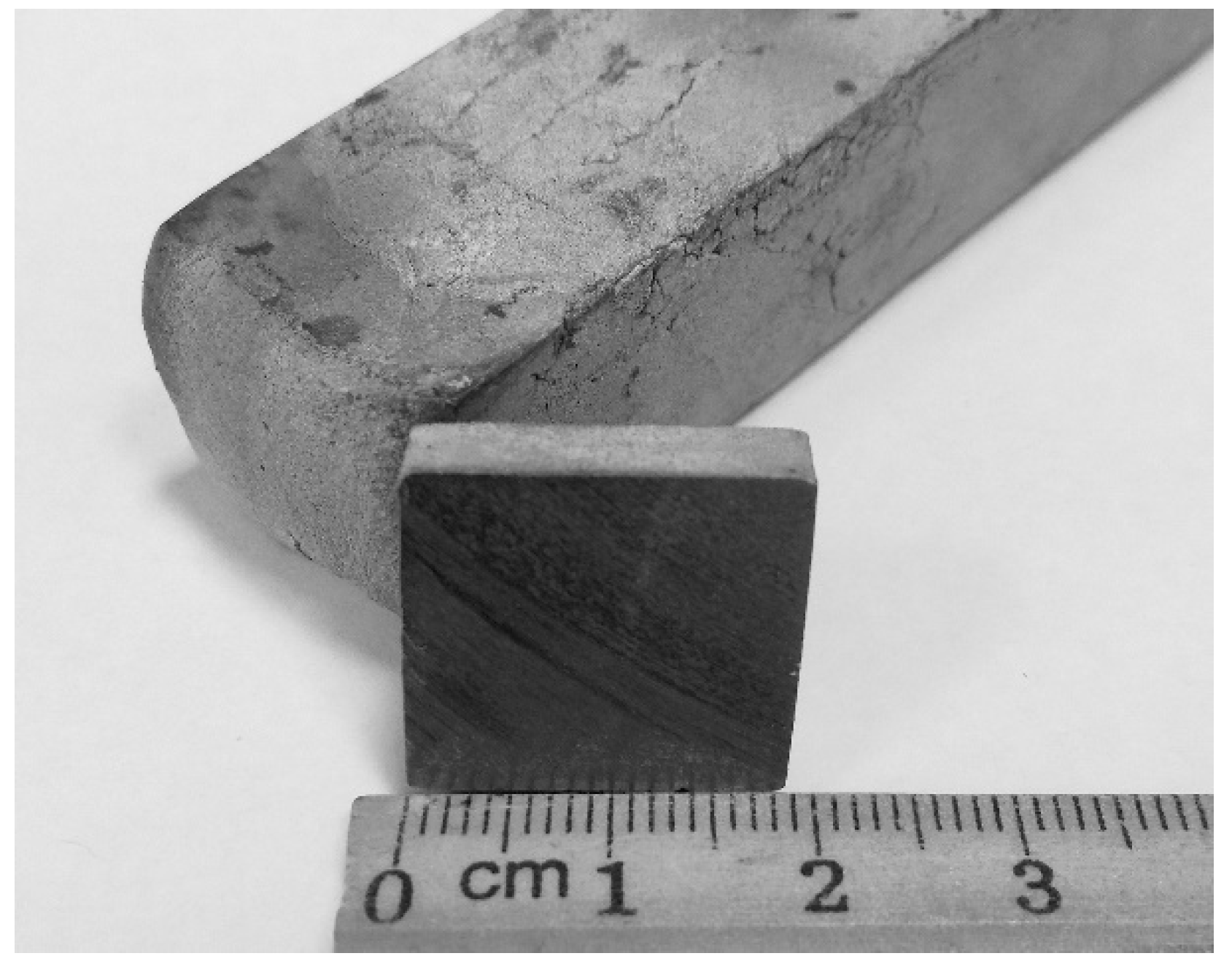 Ijms 22 10611 g015 Ijms 22 10611 g015